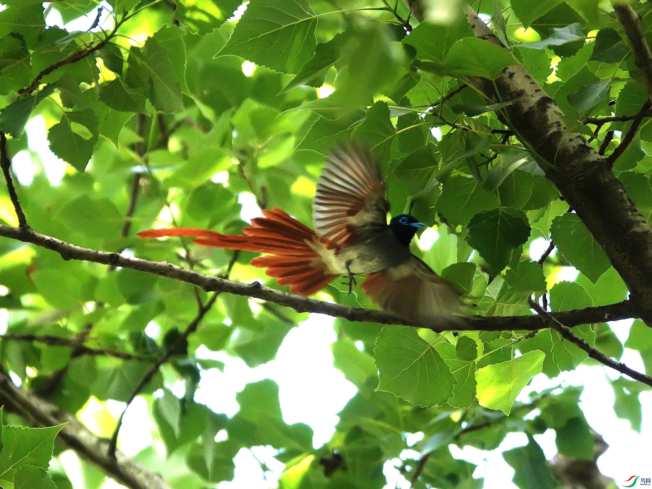 DSC06562fta.jpg