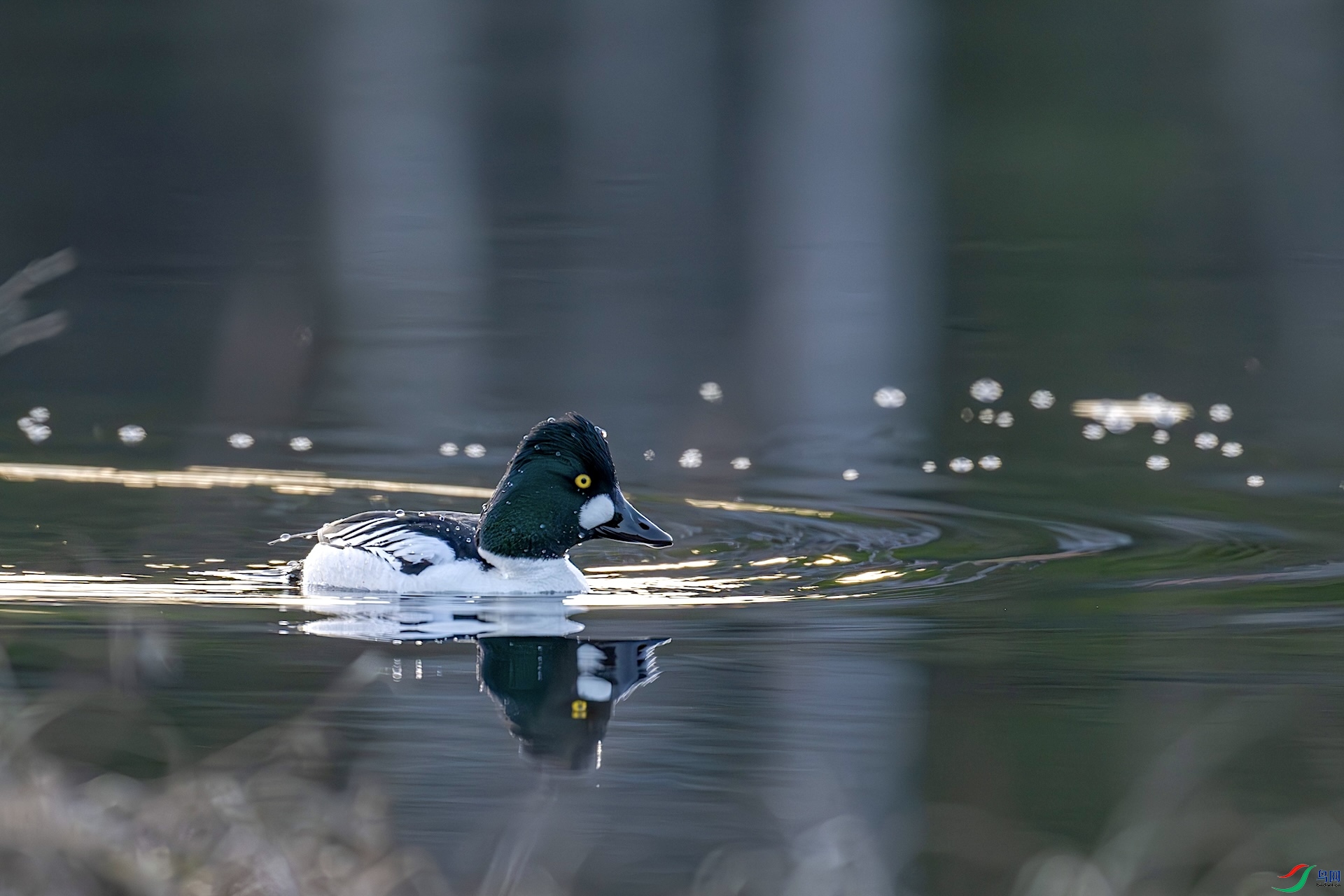 DSC_5300_����.jpg