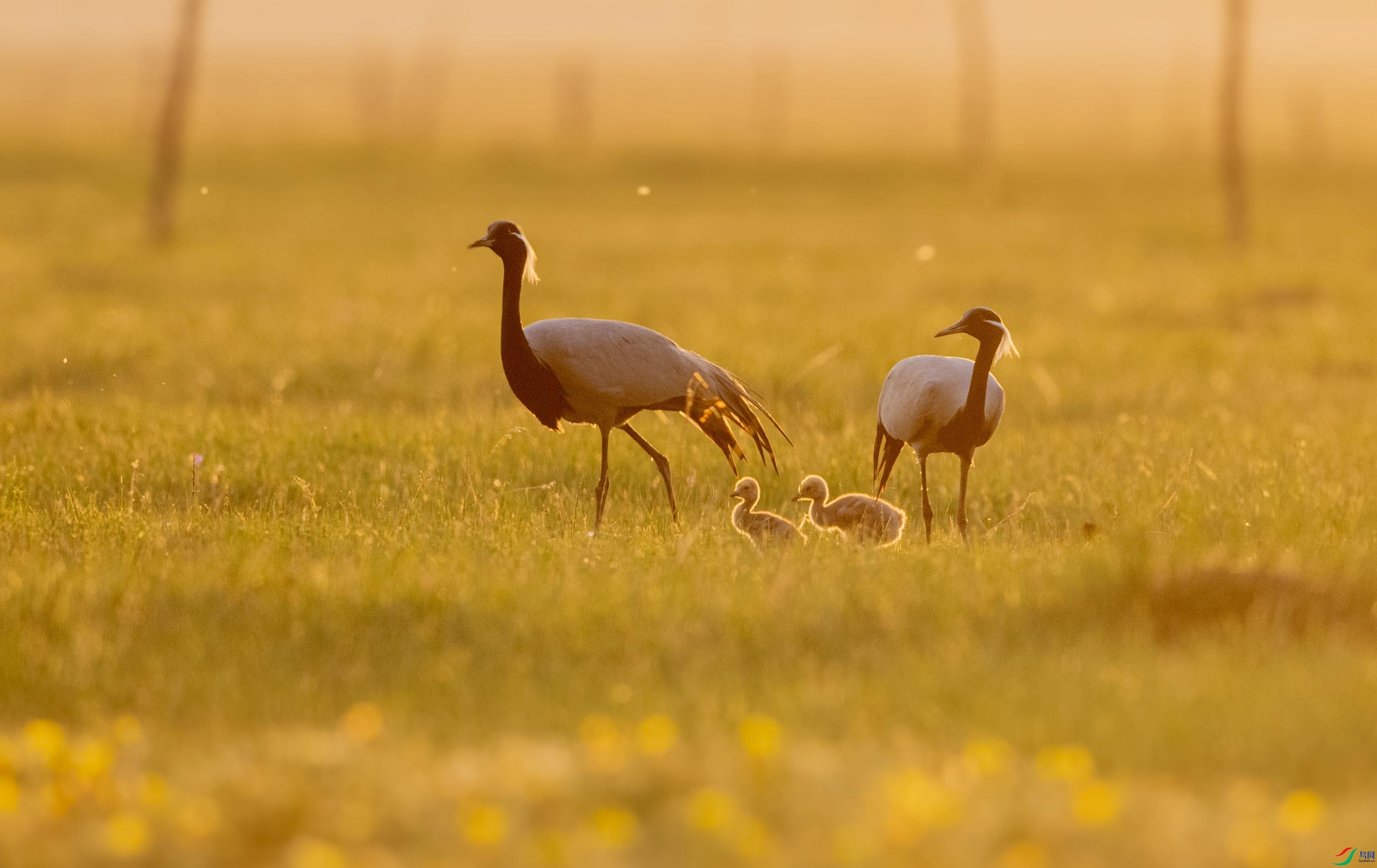 DSC_7390 ����.jpg