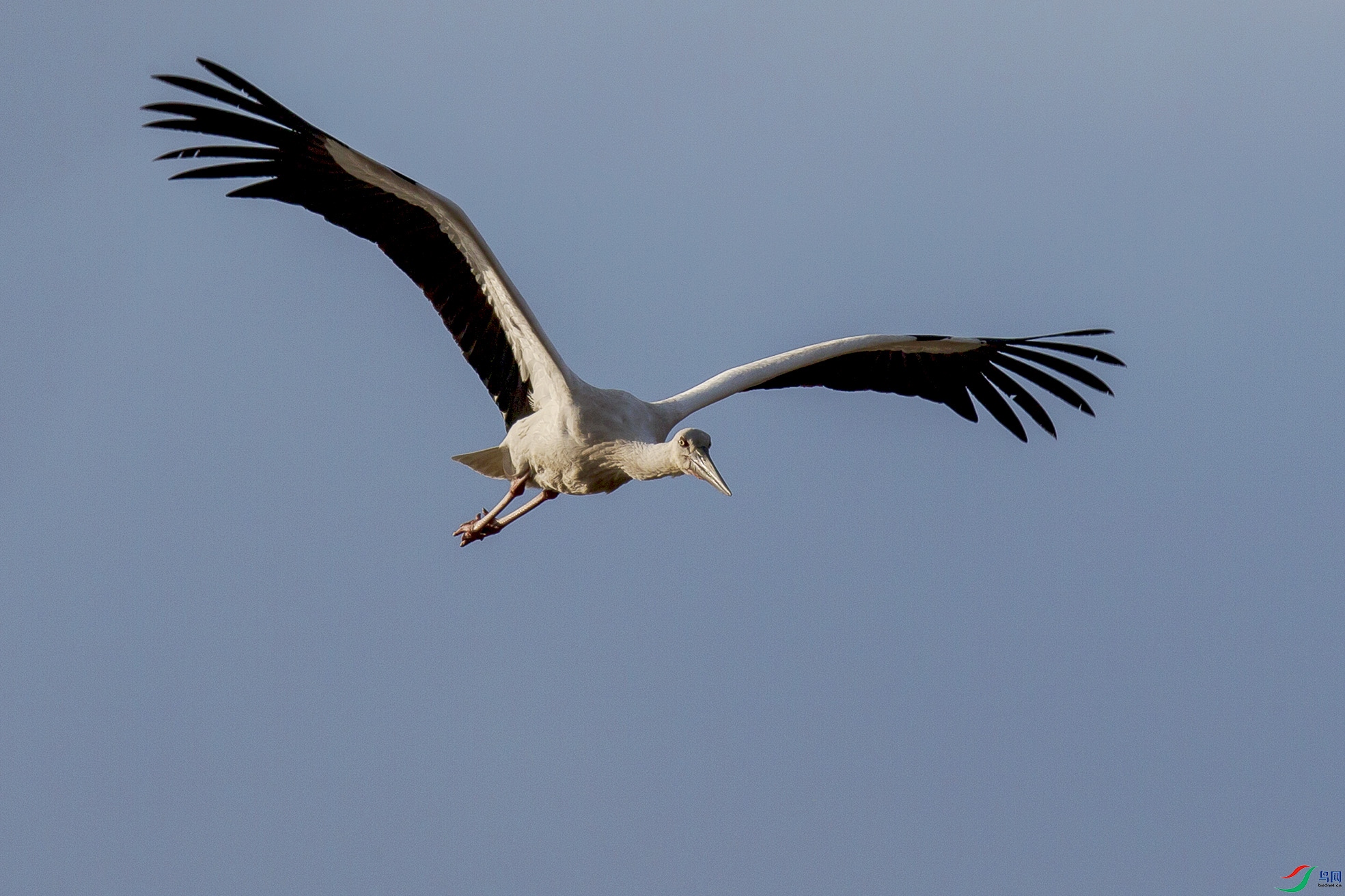 _MG_0874 ���� 2.jpg