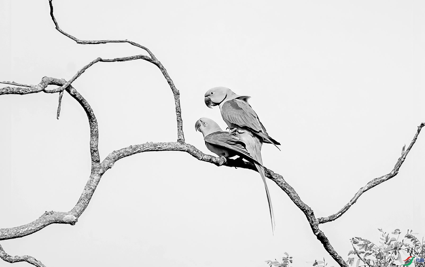 AC3I3560 ����_����.jpg