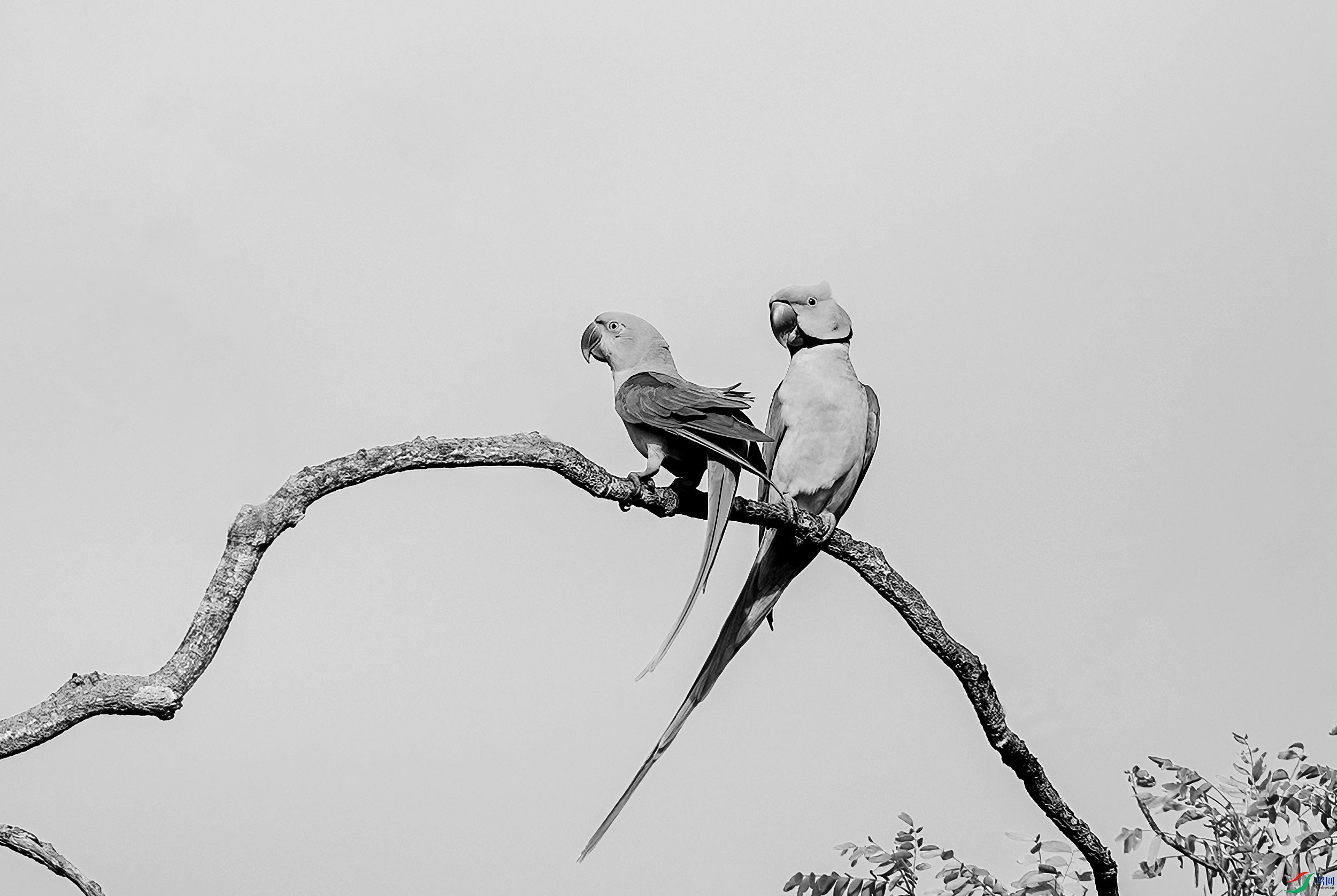 AC3I3537 ����_����.jpg