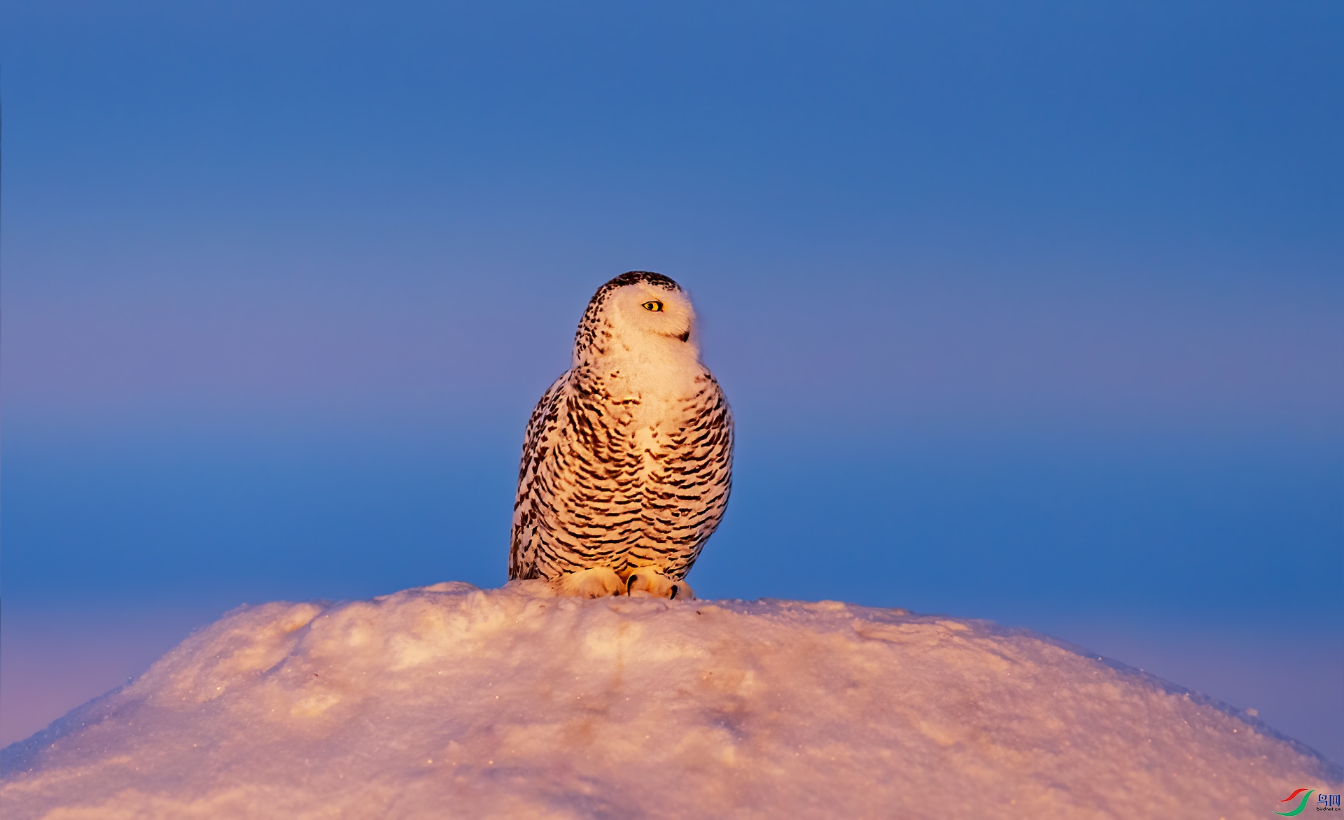 _DSC2712.jpg