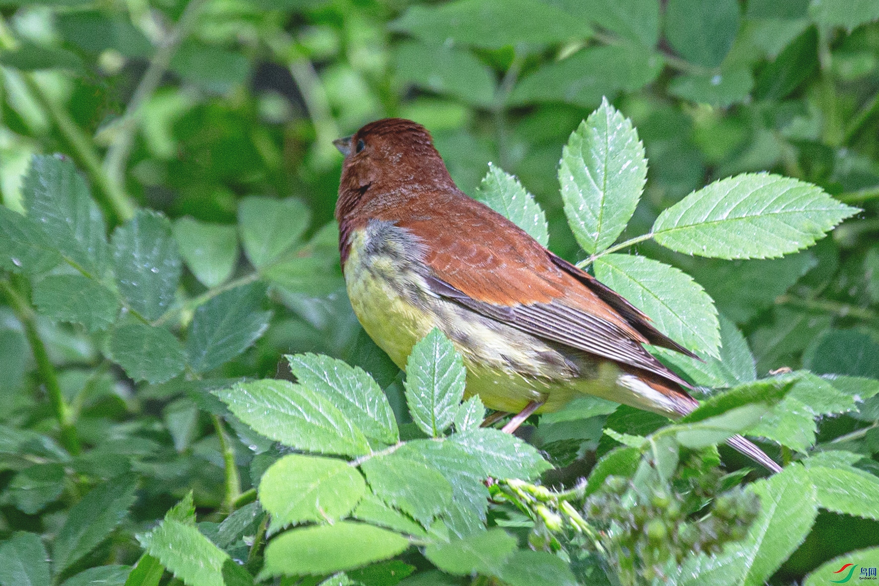 file312419 ����.jpg