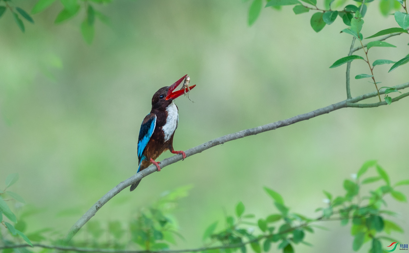 ����DSC_5939.jpg