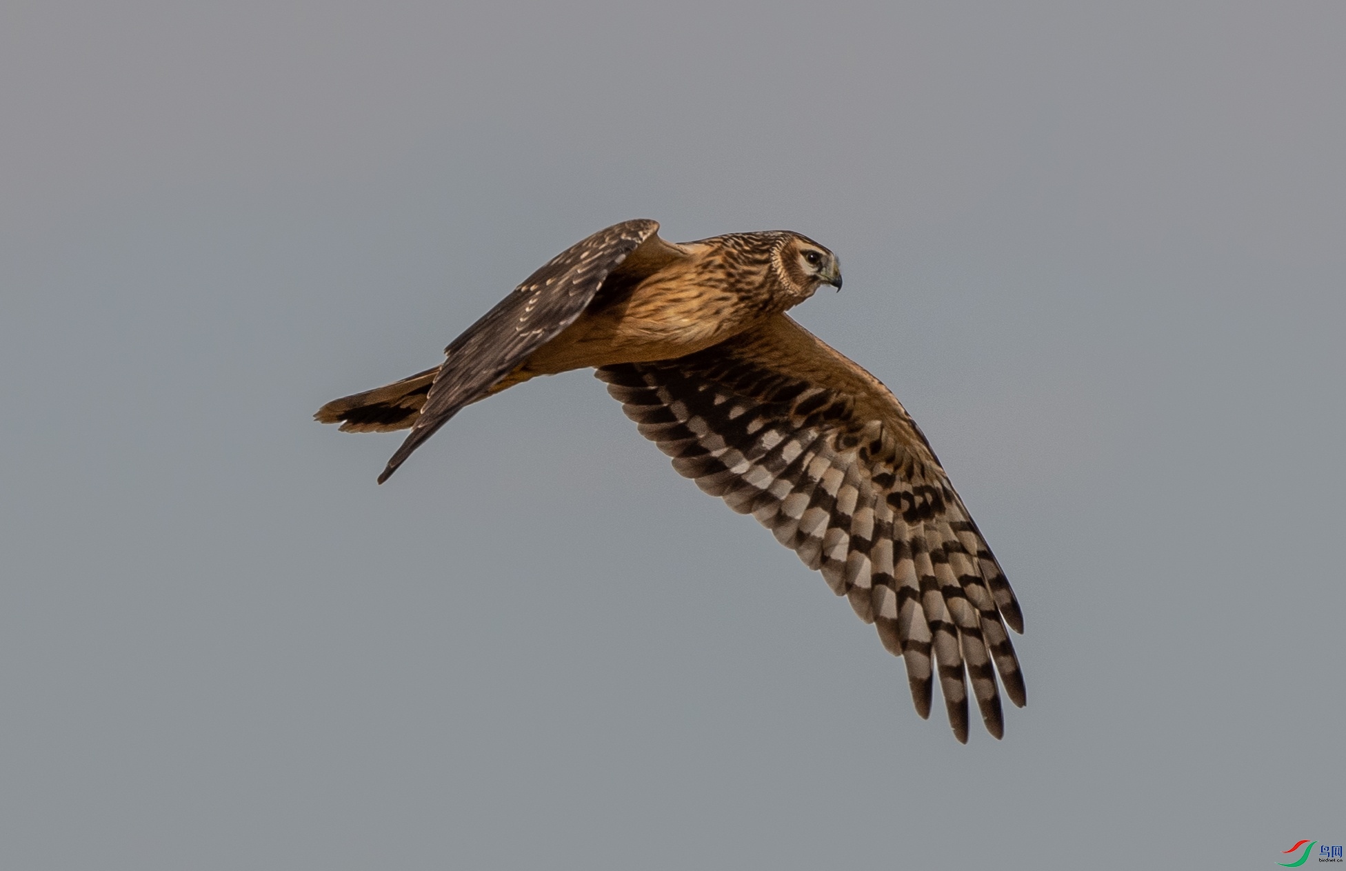 240��β��-������231003 (4)_����.jpg