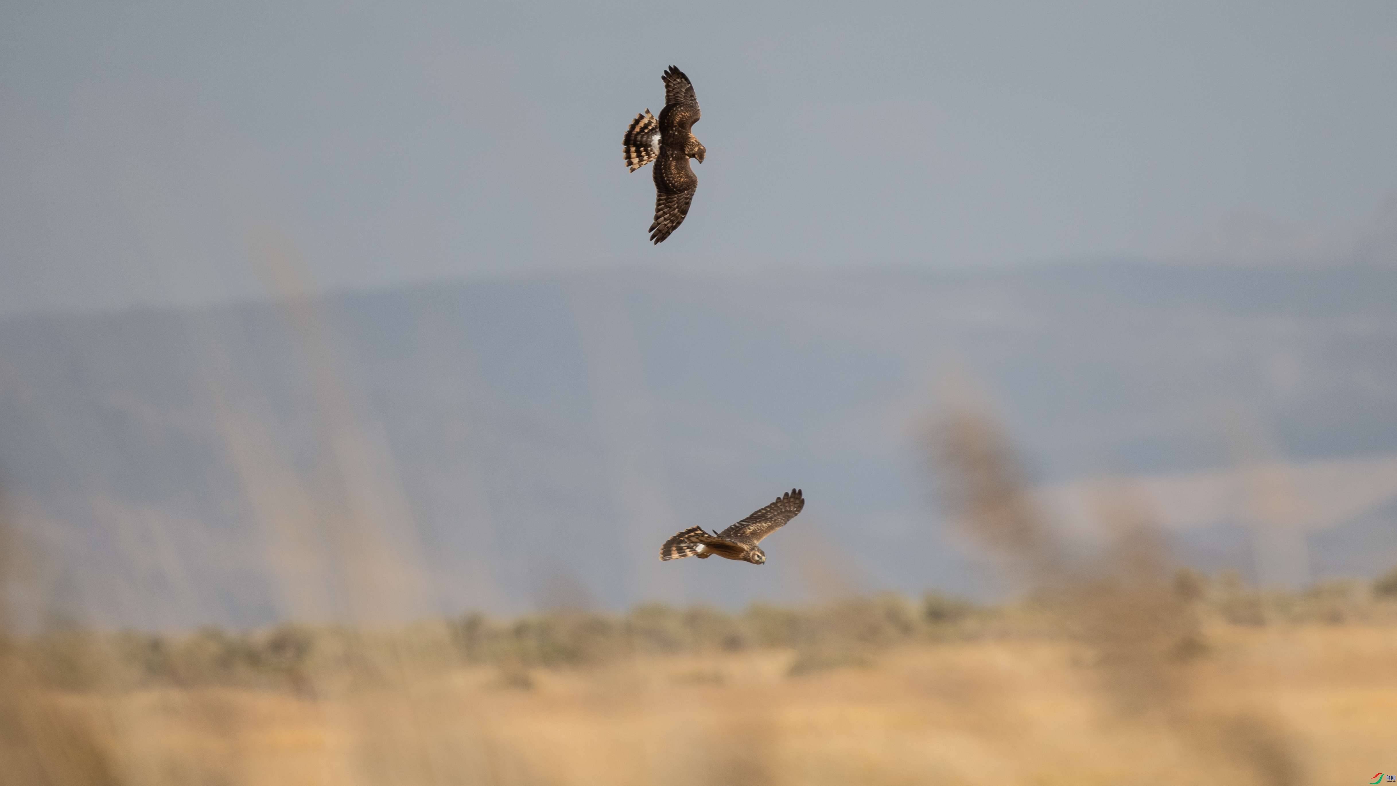 240��β��-������231003 (10)_����.jpg