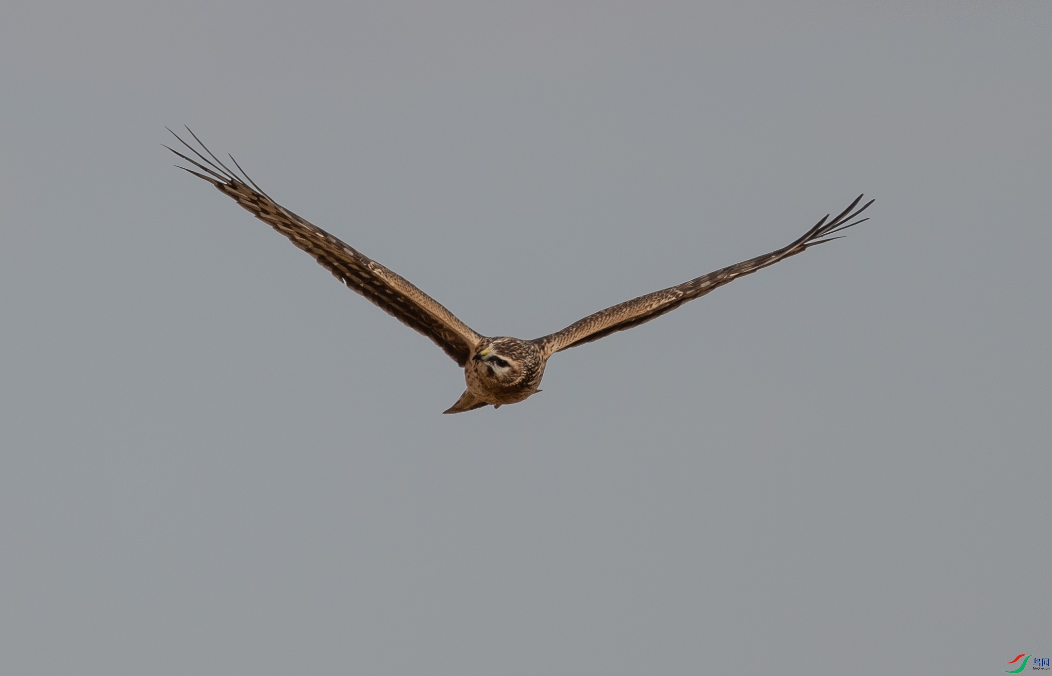 240��β��-������231003 (1)_����.jpg