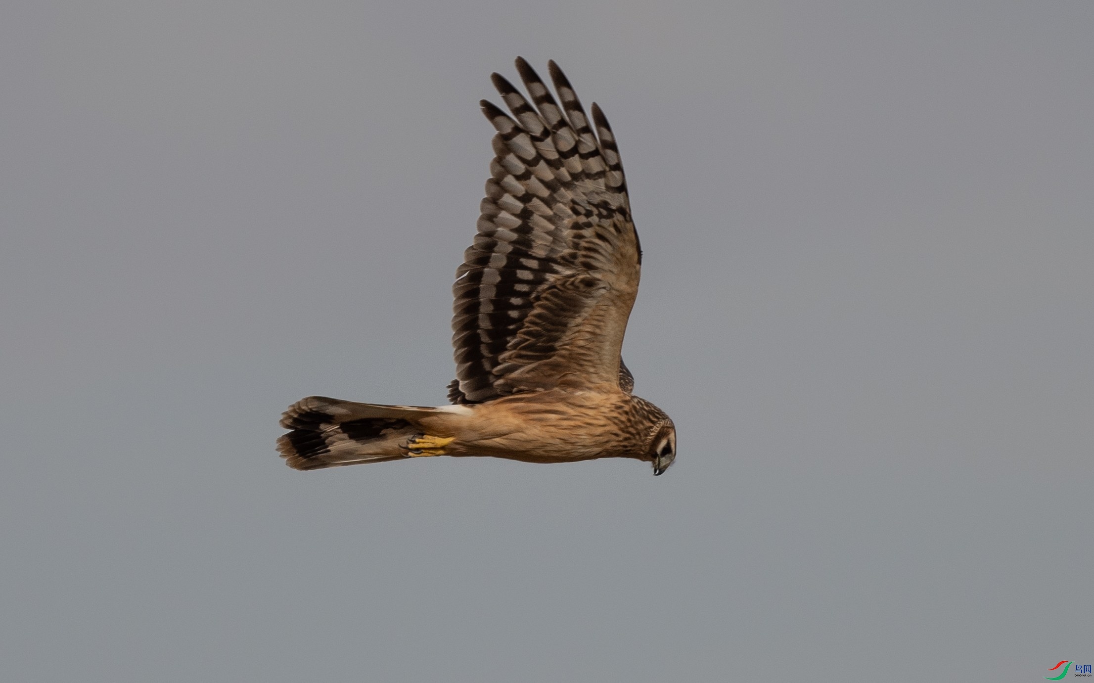 240��β��-������231003 (6)_����.jpg