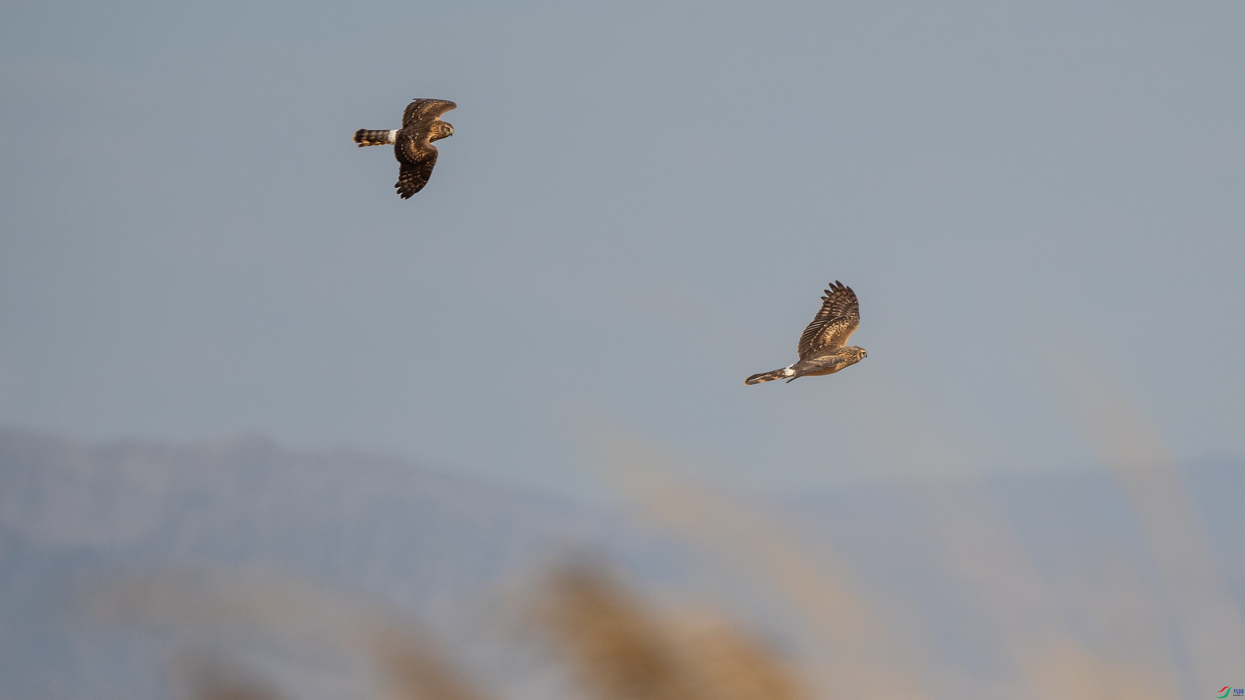 240��β��-������231003 (8)_����.jpg