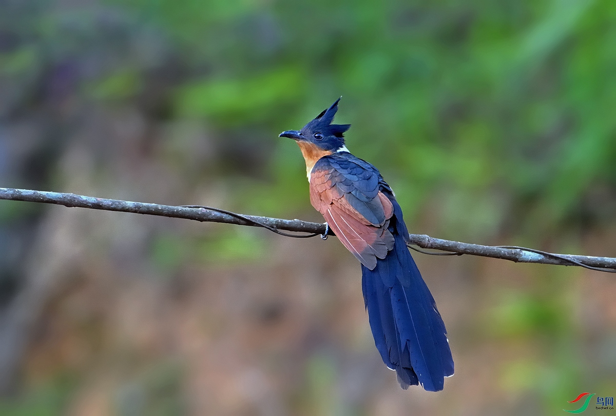 DSC_1345.jpg