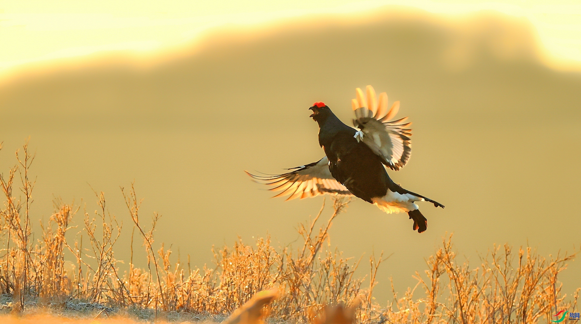 ÿ�ռ��� ���� ���� ���� ����.jpg