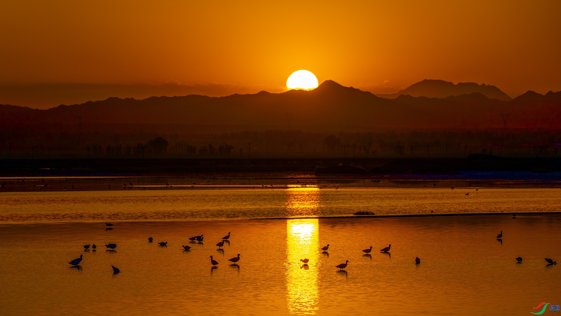 ÿ�ռ���  ��ϼ  ���� ��ѧ�� ����.jpg