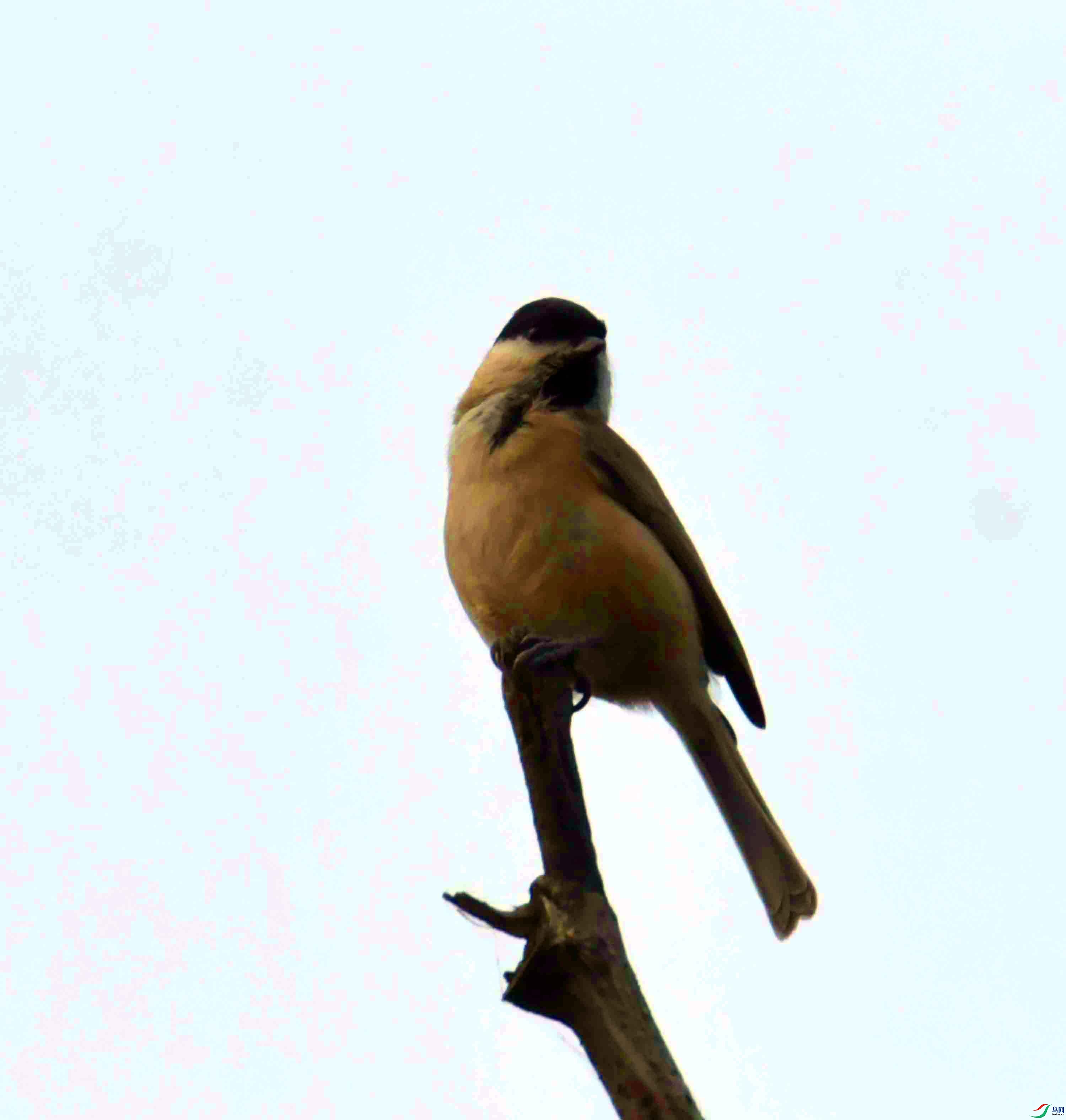 DSC_8957.JPG