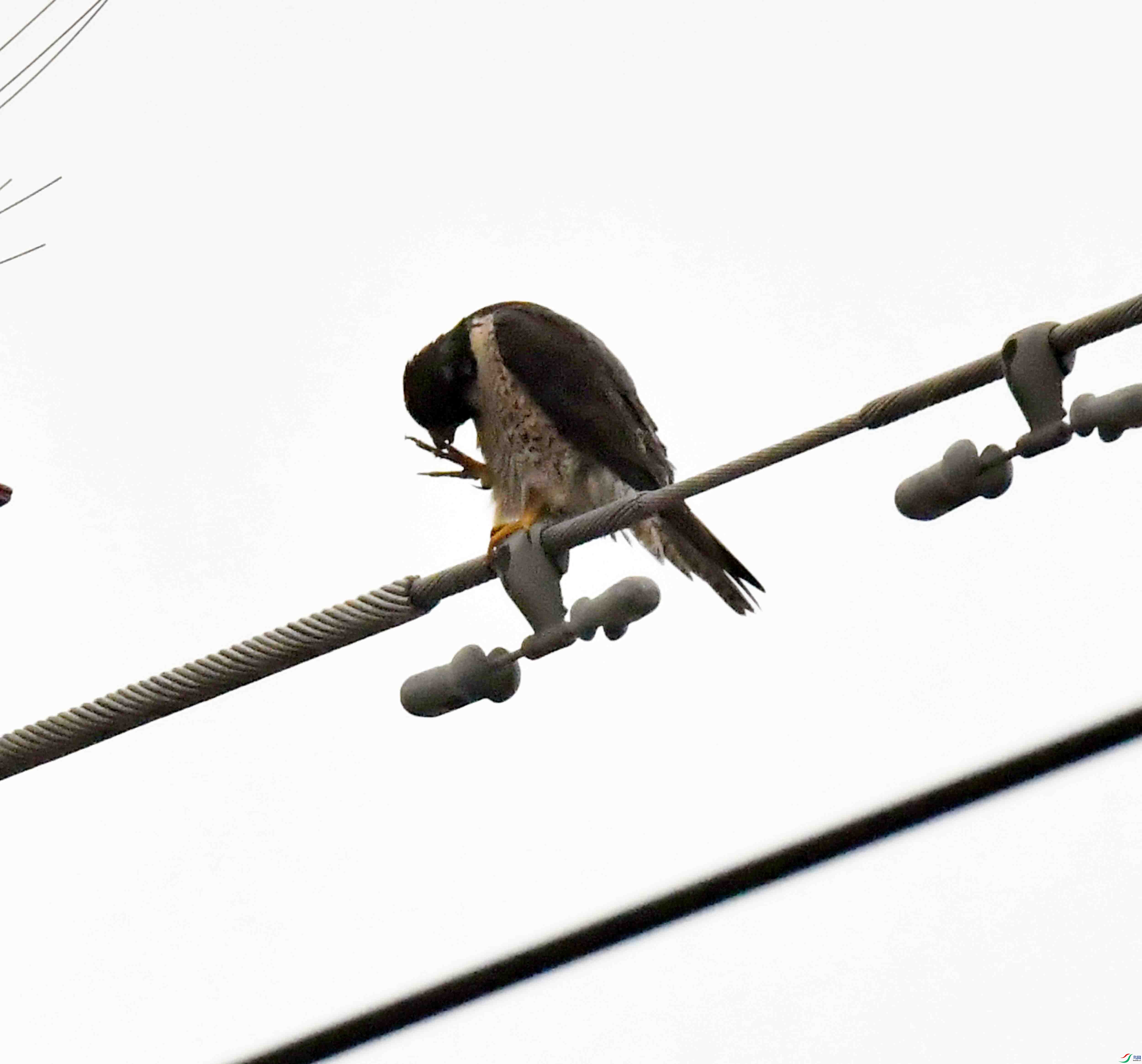 DSC_4044.JPG