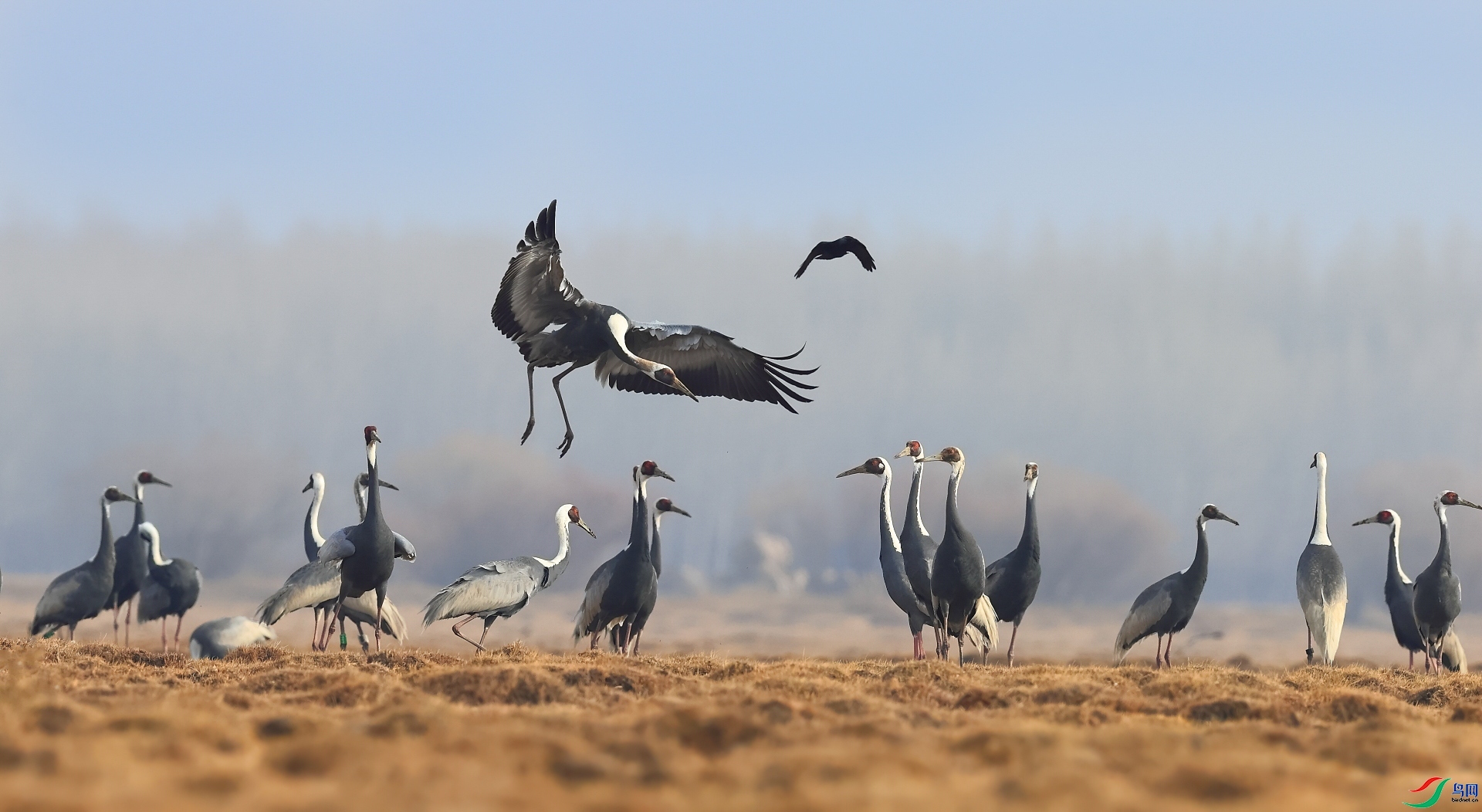 ������ ���� ���� ��һ.jpg