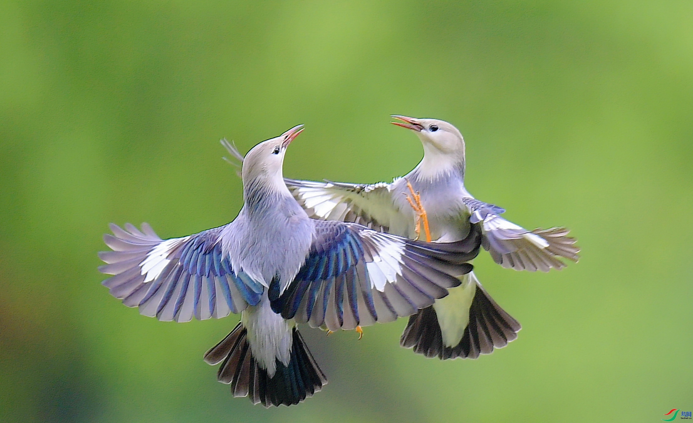 ˿����� ���� ����뻳 �ܶ�.jpg