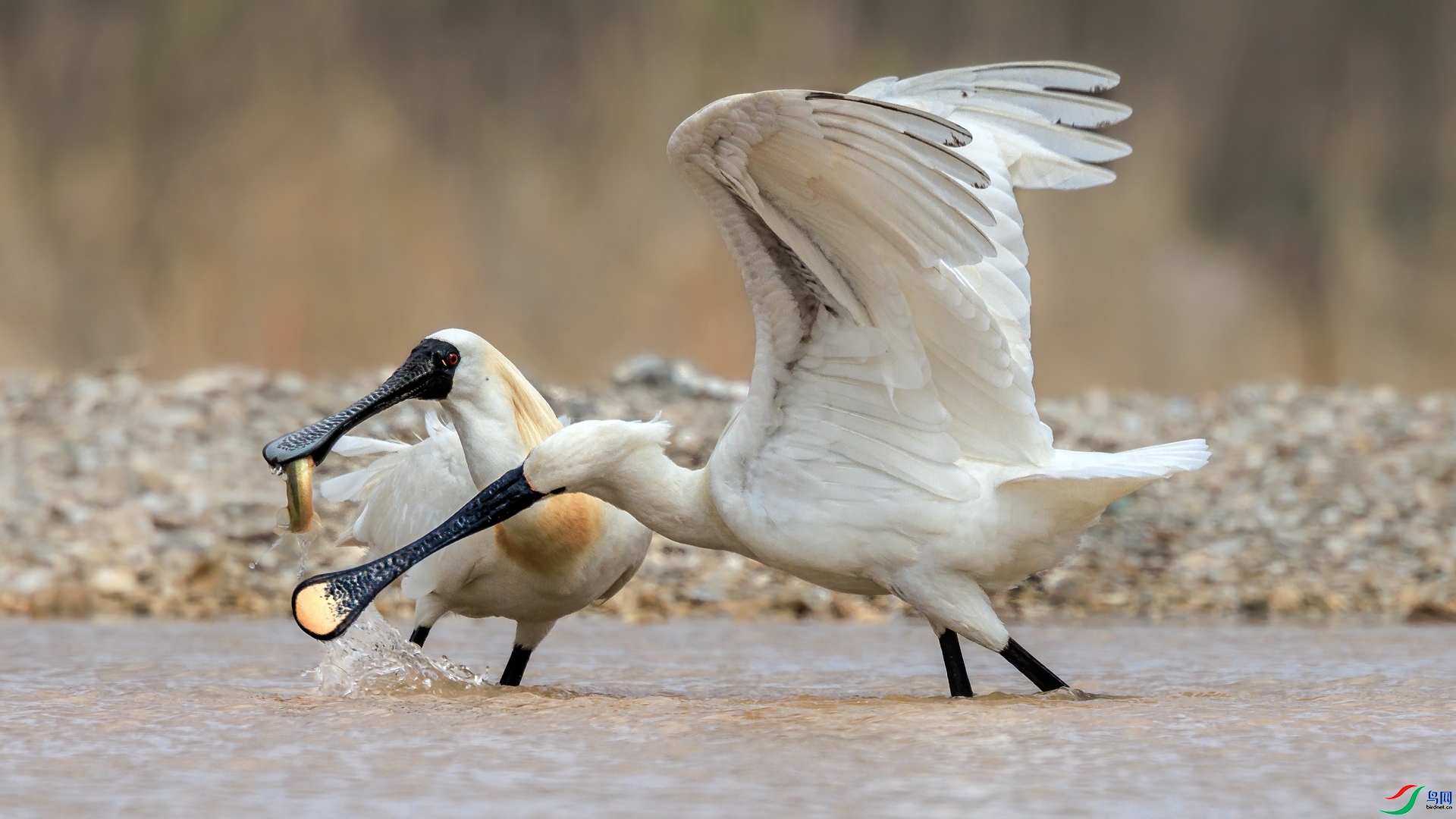 ��  ���� ��ͥ�Ų�YES  �ܶ�.jpg