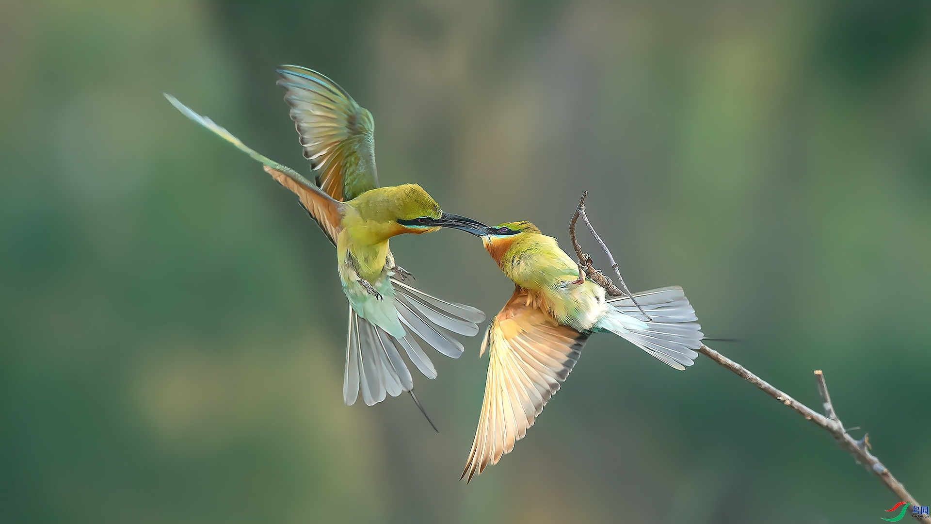 ���� ����  ����.jpg