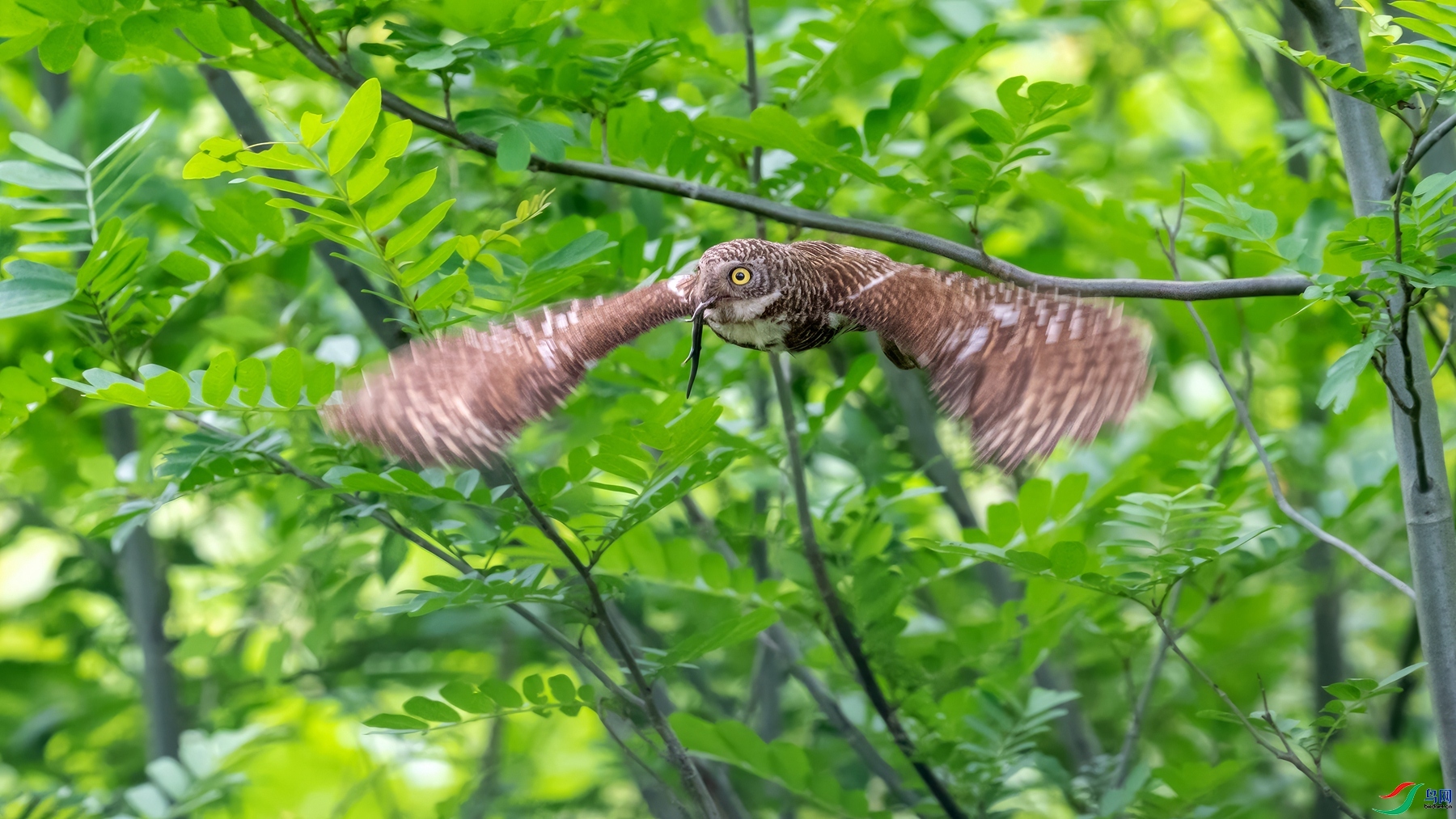 ������ʳ���� ���� СС�ո� ����.jpg