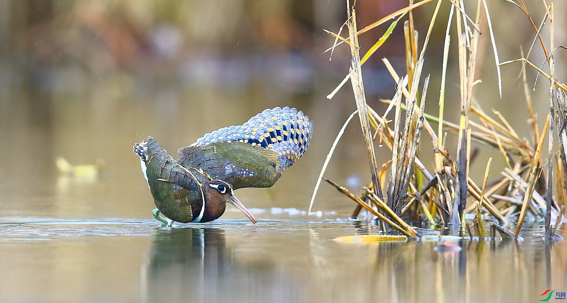 ���� ���� ���� ����.jpg