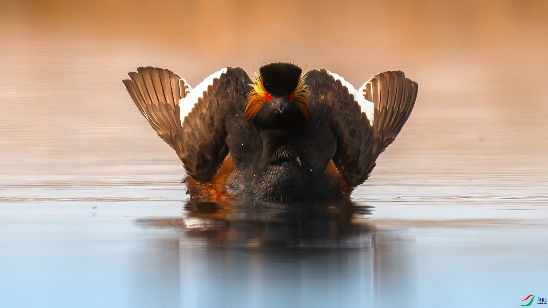 �ڴ� ���� ���� ����.jpg