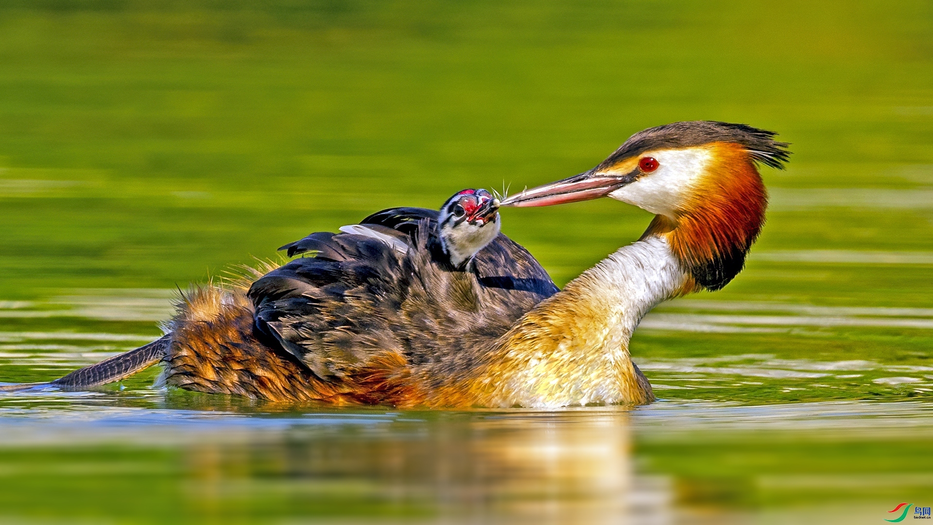 ι��ë   ���� ������ ����.jpg