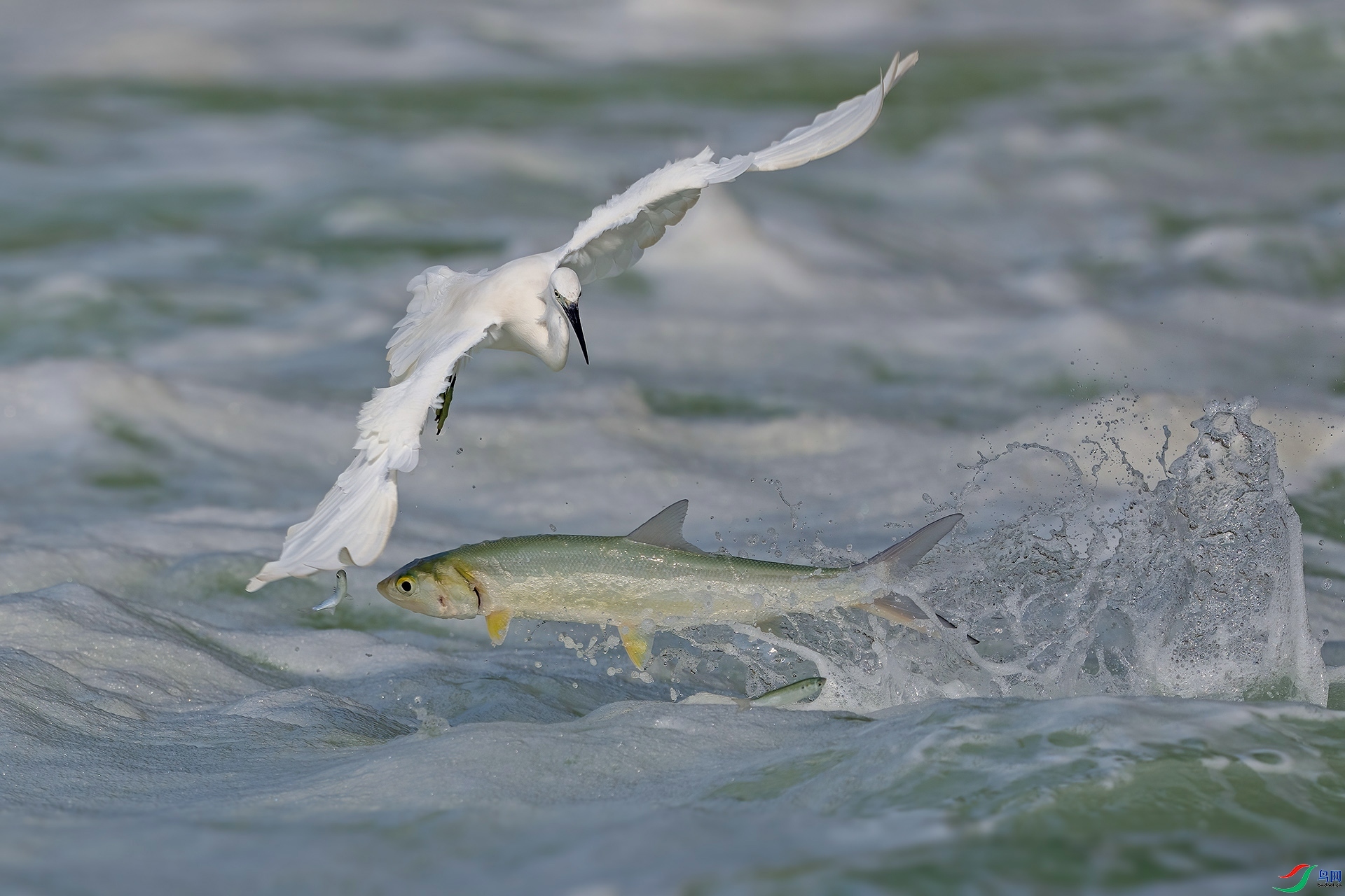 ������־  ���� ���ž��� ����.jpg