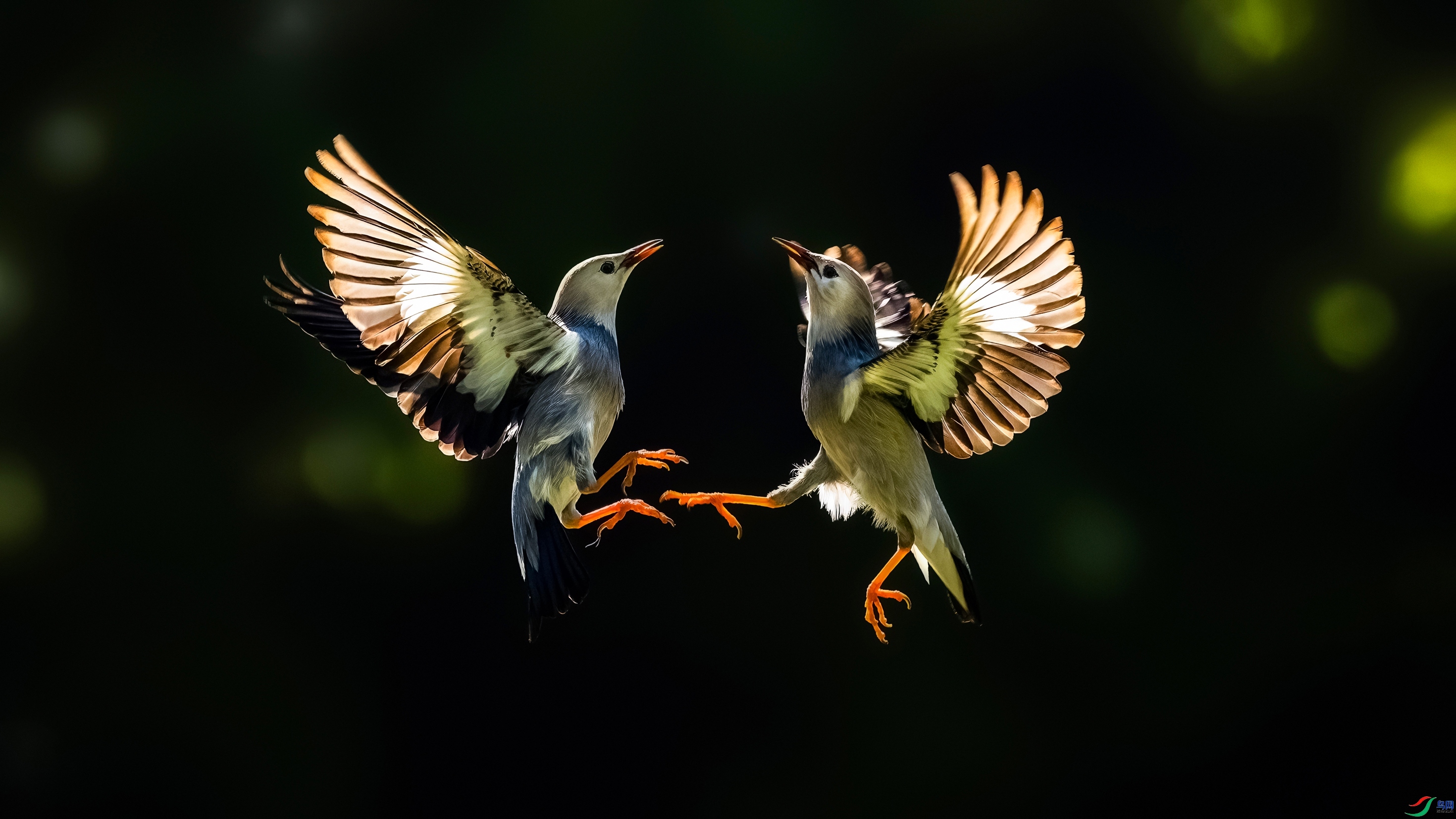 �Ҹ�����  ���� Hsia  ����.jpg