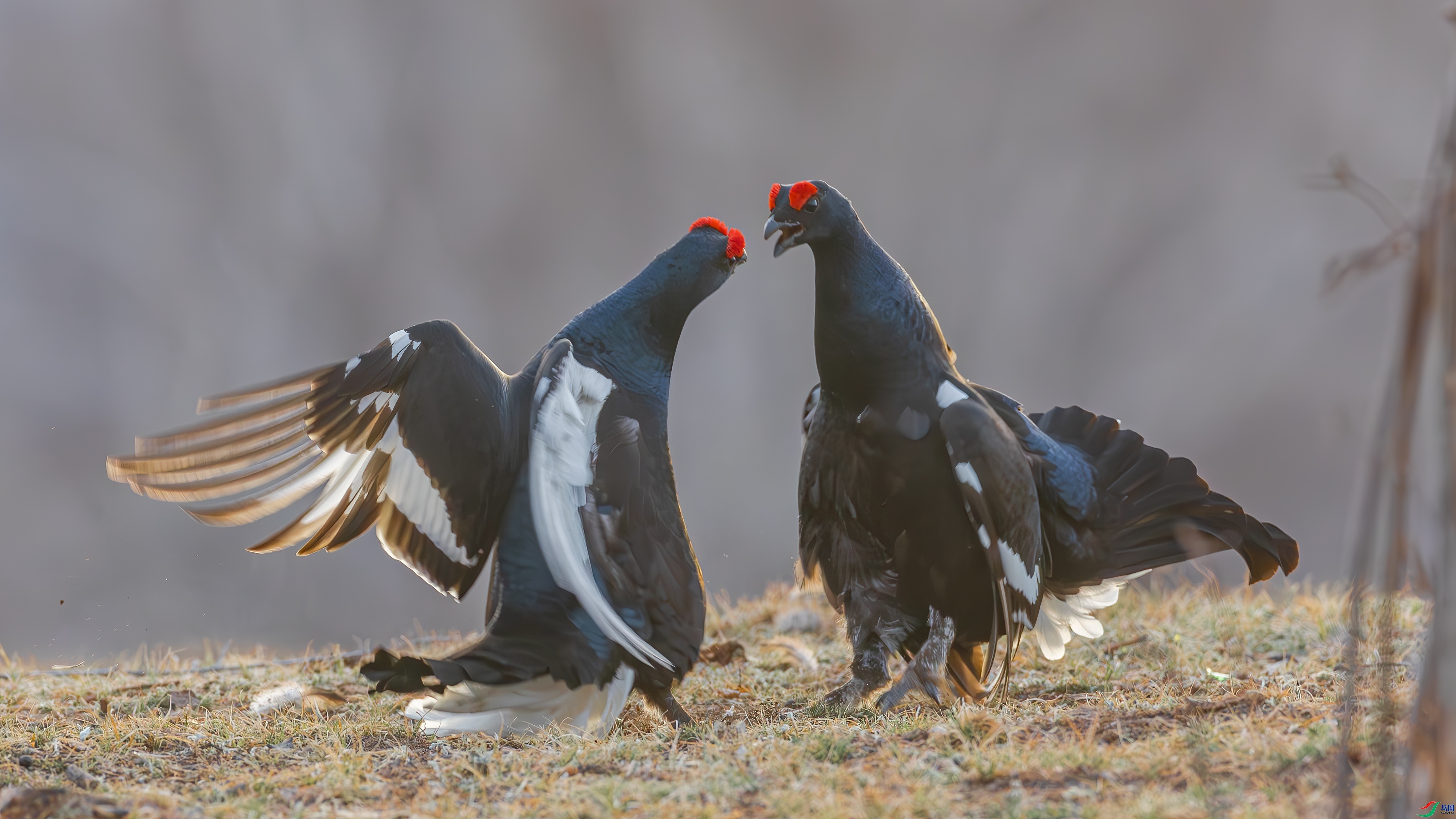 ����  ���� �䱾���� ����.jpg