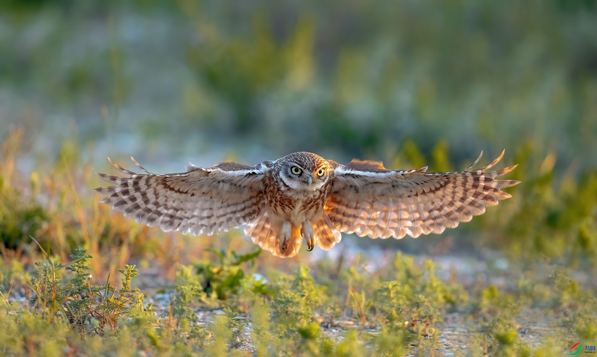 ӭ����� ���� �������� ����.jpg