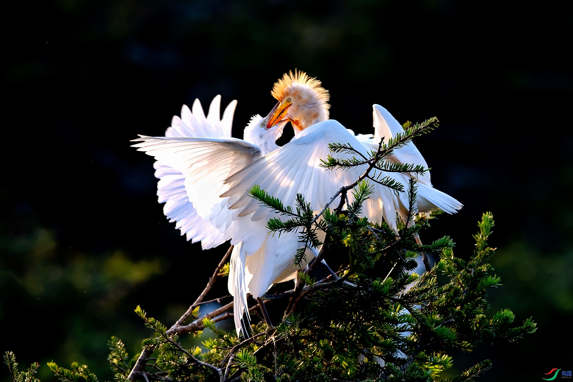 ����Ũ�� ���� ����ǿ ����.jpg