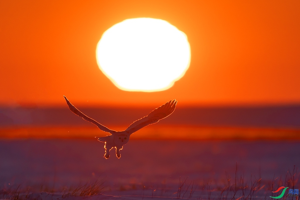 Ϧ�����޺� ���� ���ַ� ����.jpg