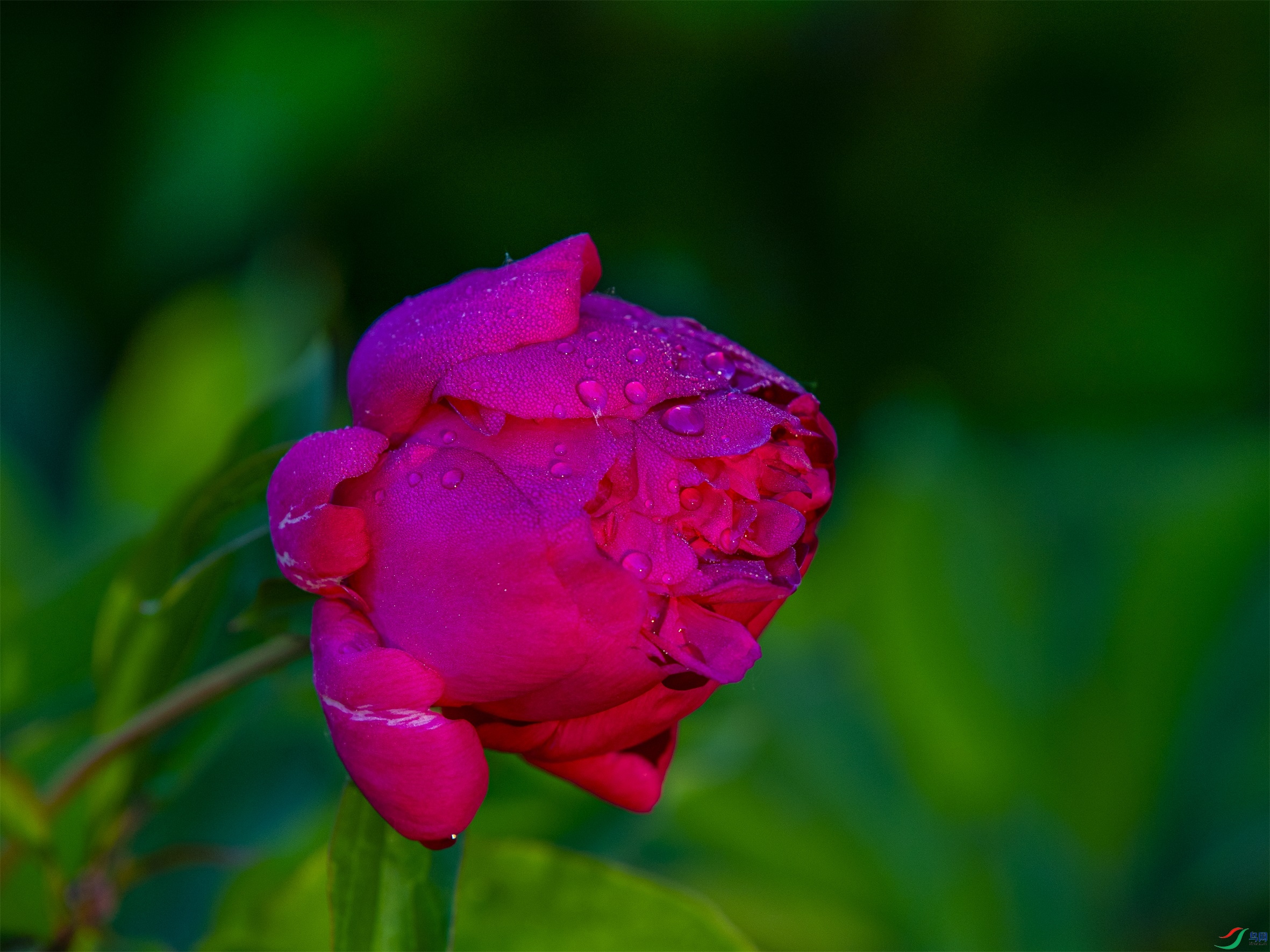 CY4A6155 ����1.jpg