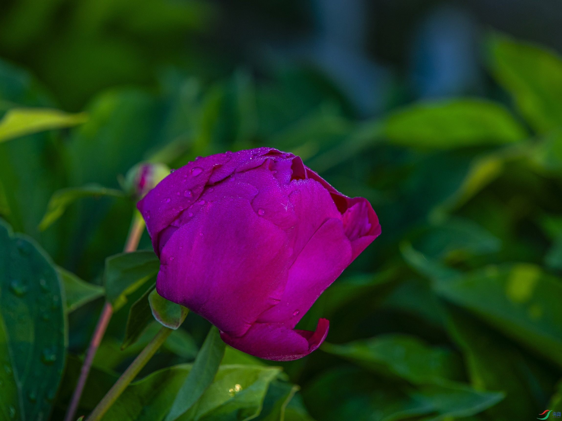 CY4A6161 ����1.jpg