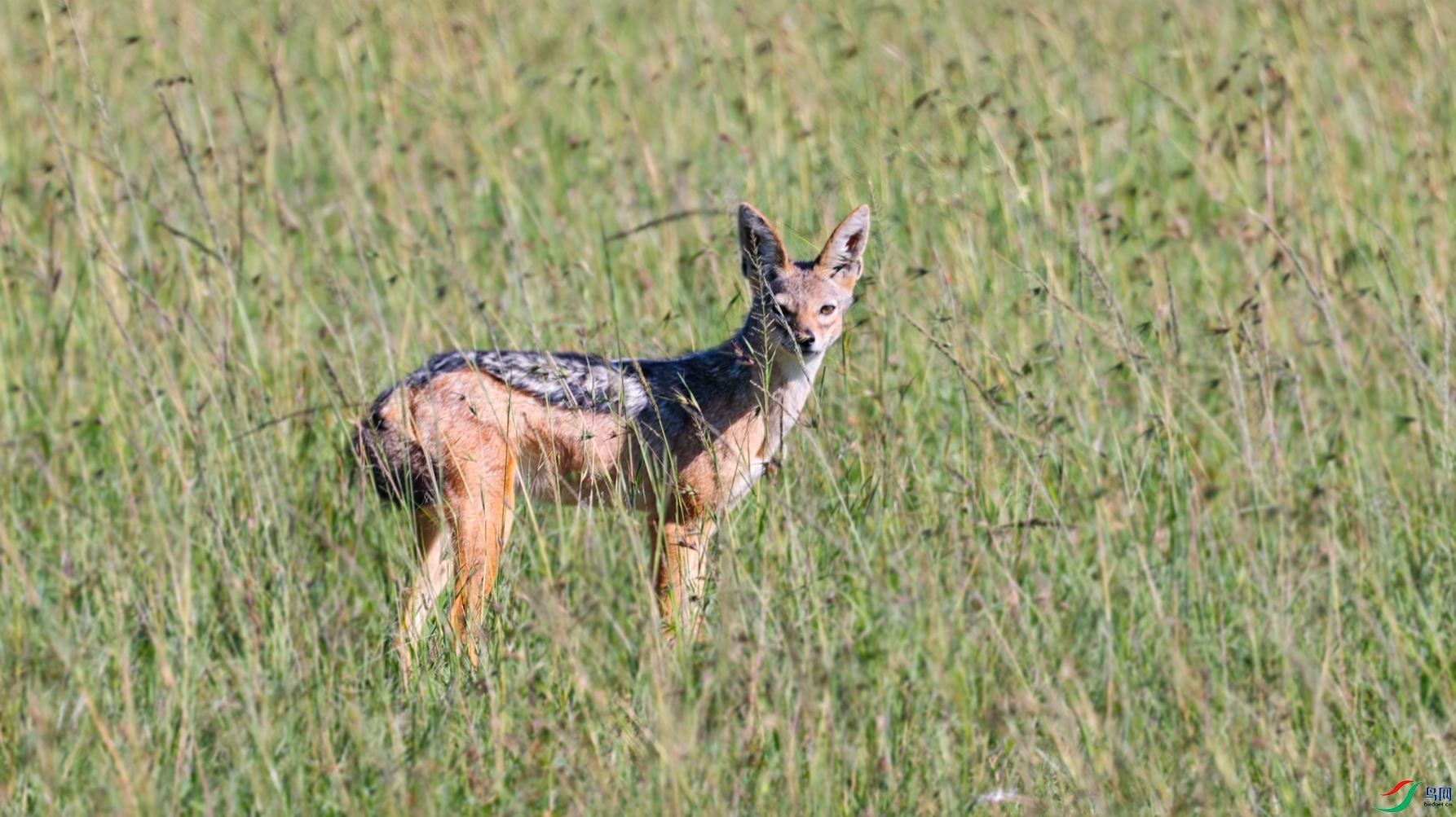 ΢��ͼƬ_20240523225242 ����.jpg