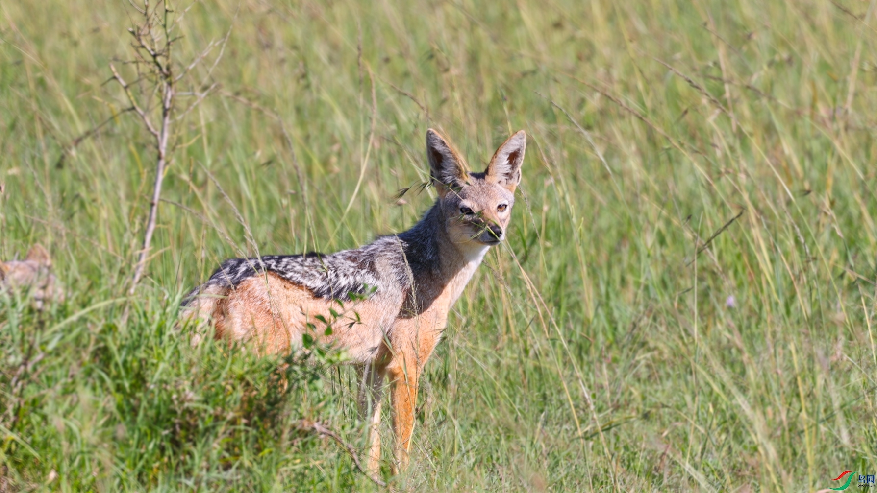 ΢��ͼƬ_20240523225521 ����.jpg