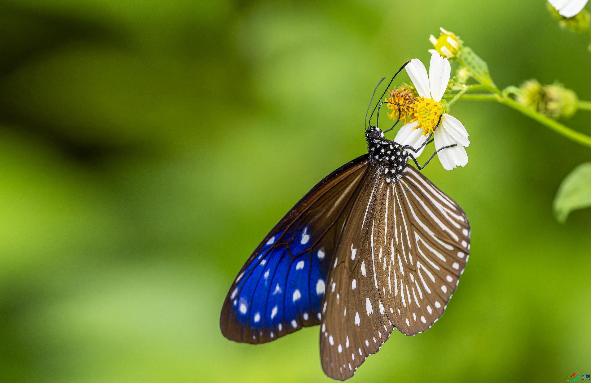 �����ϰߵ� (346)-1.jpg