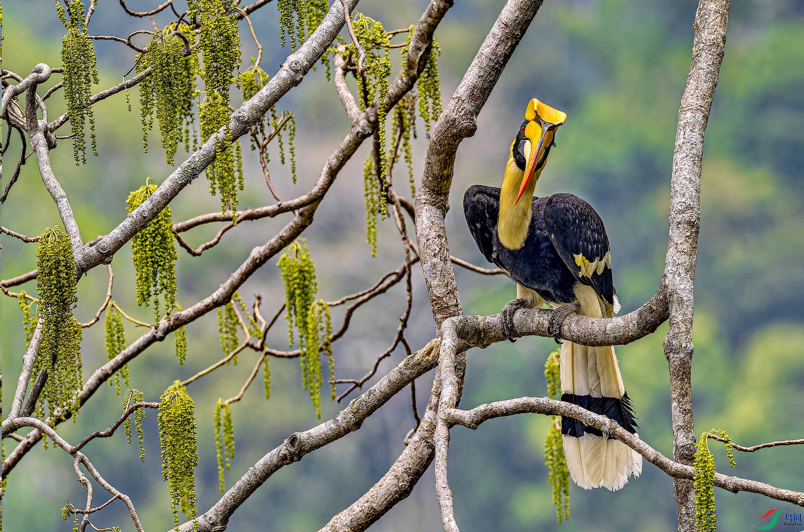 ˫��Ϭ�� (��) (3)-1.jpg