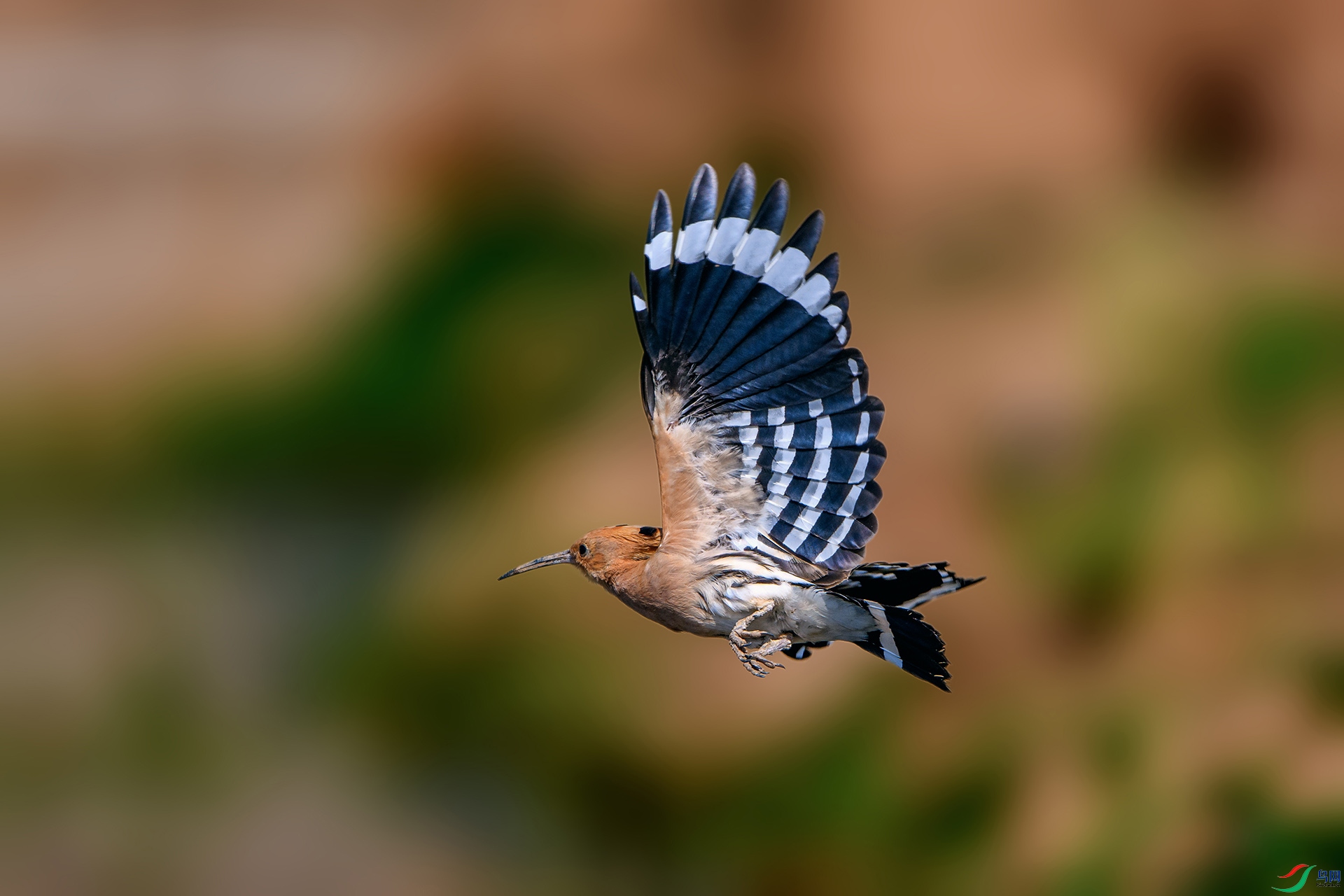��_AUU2229����ʤ(24.5.4)-1.jpg