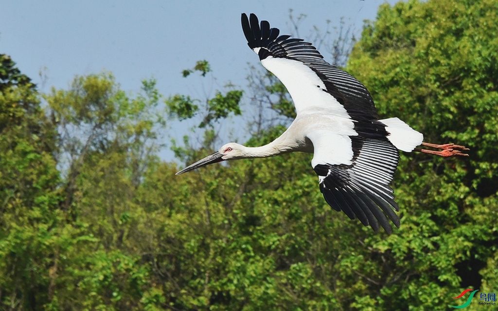 770 (135b)_����_����.jpg