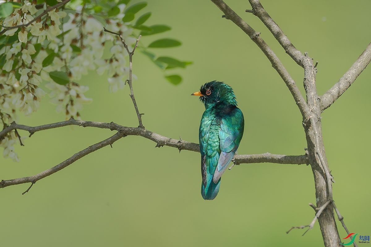 0F2A1335 ����2.jpg