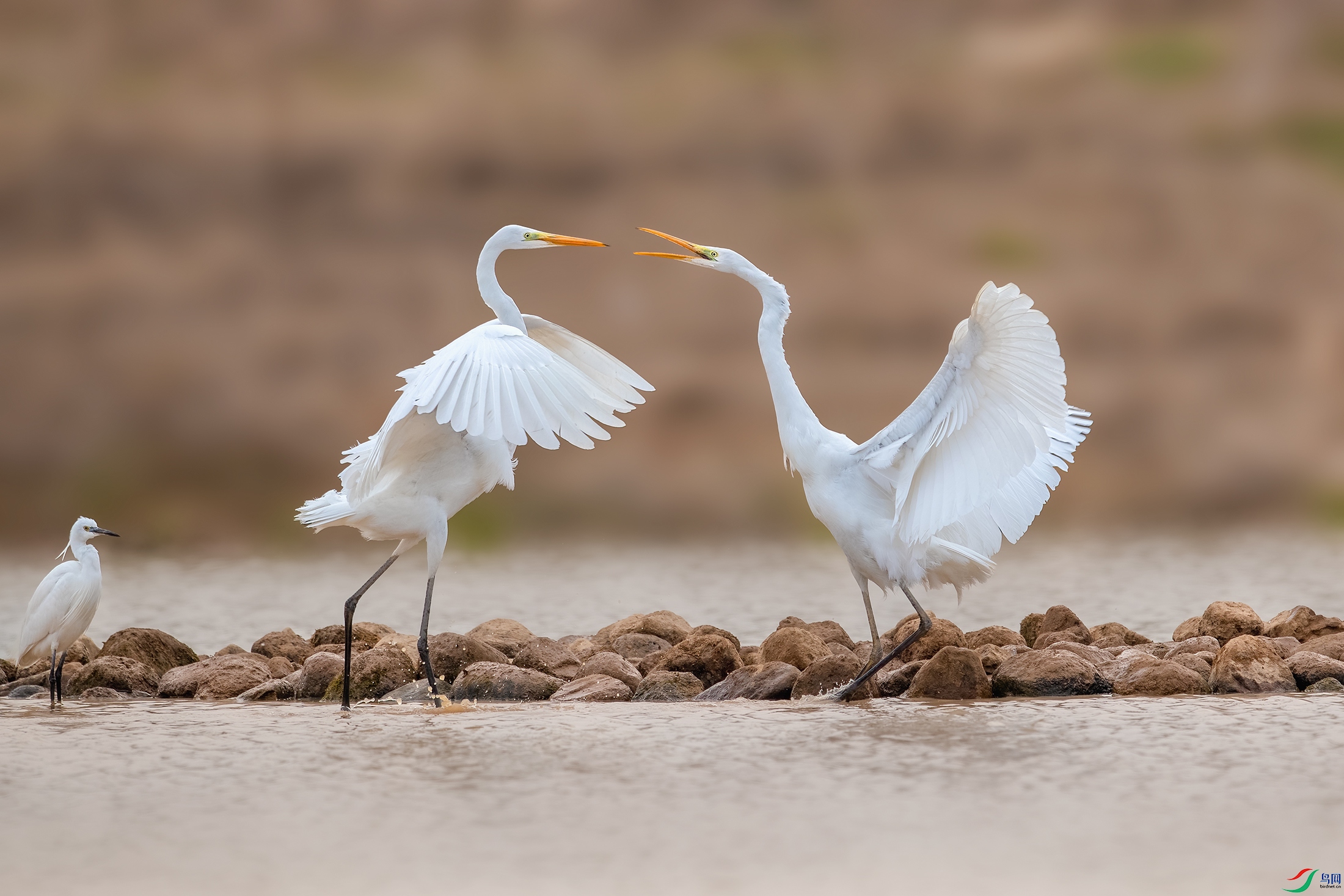 BE5I5063 ����.jpg