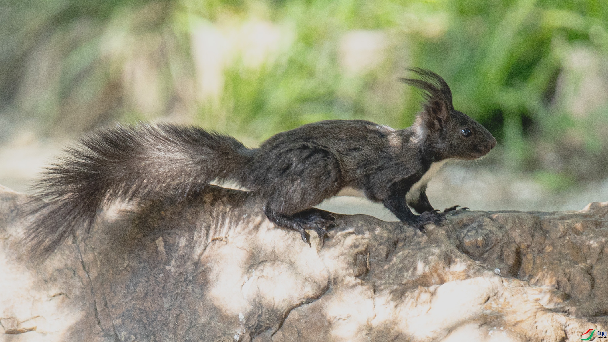 _90I6566 ����.jpg