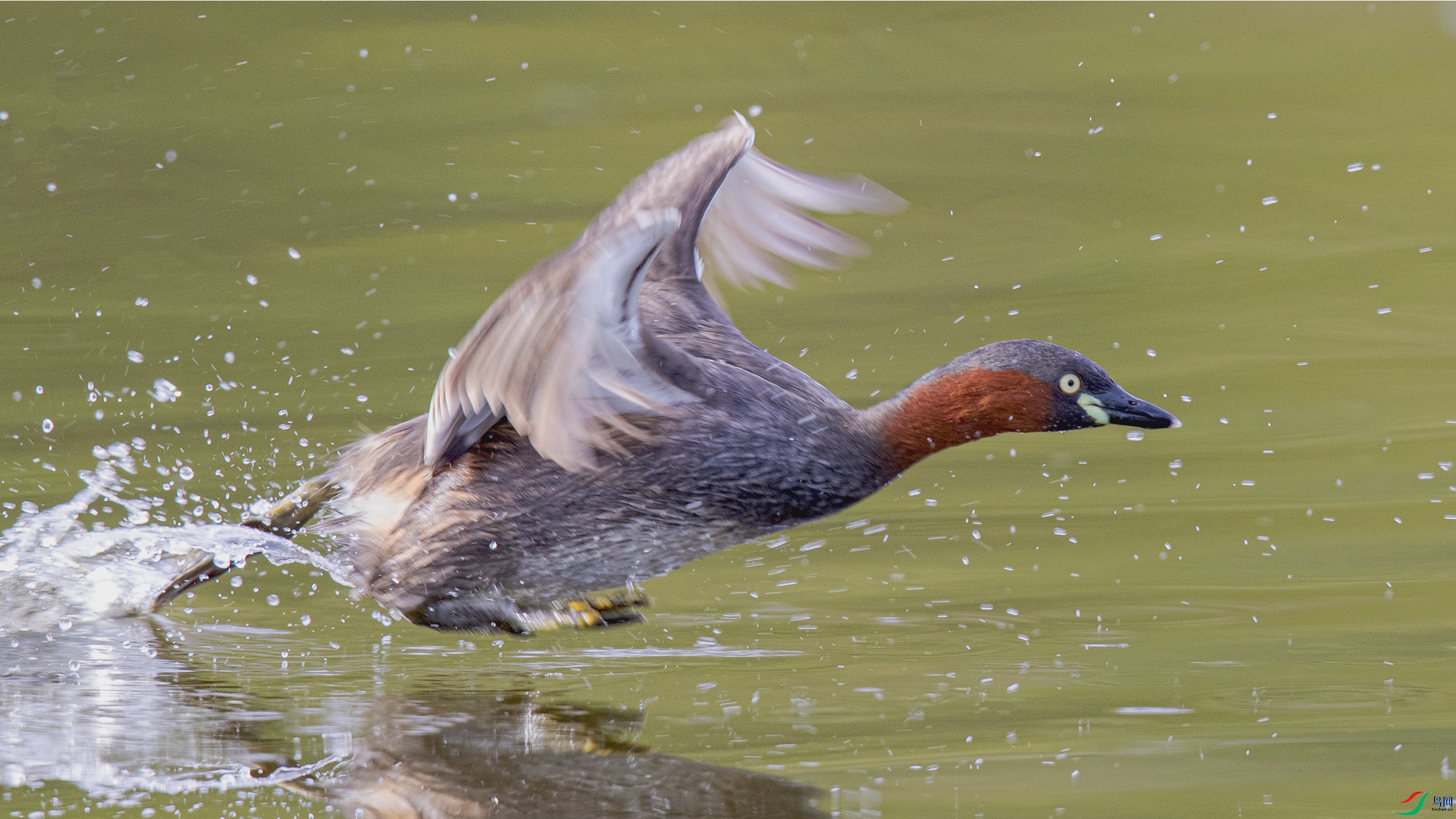 _90I9887 ����.jpg