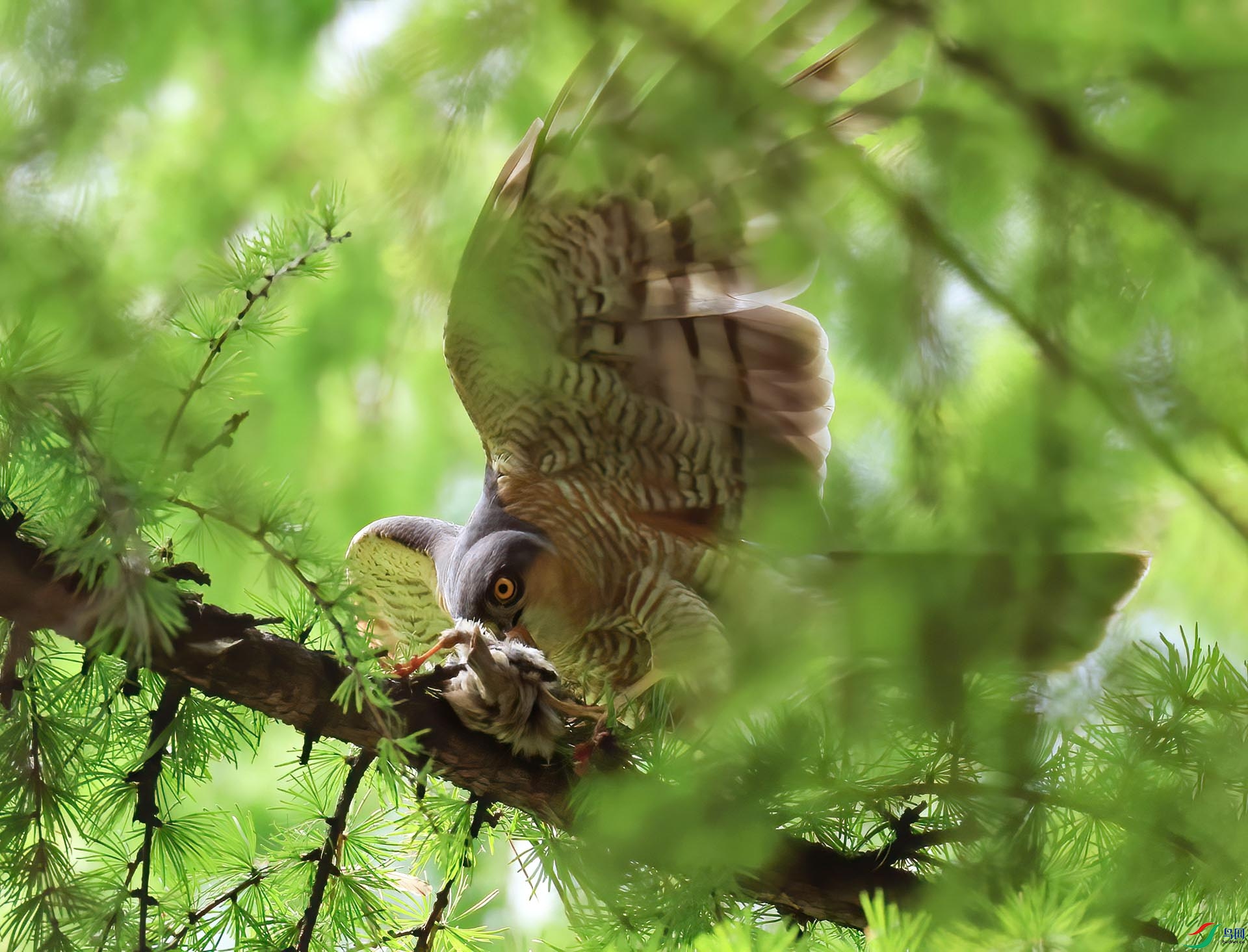 ����ǿʳE8A3835-ise.jpg