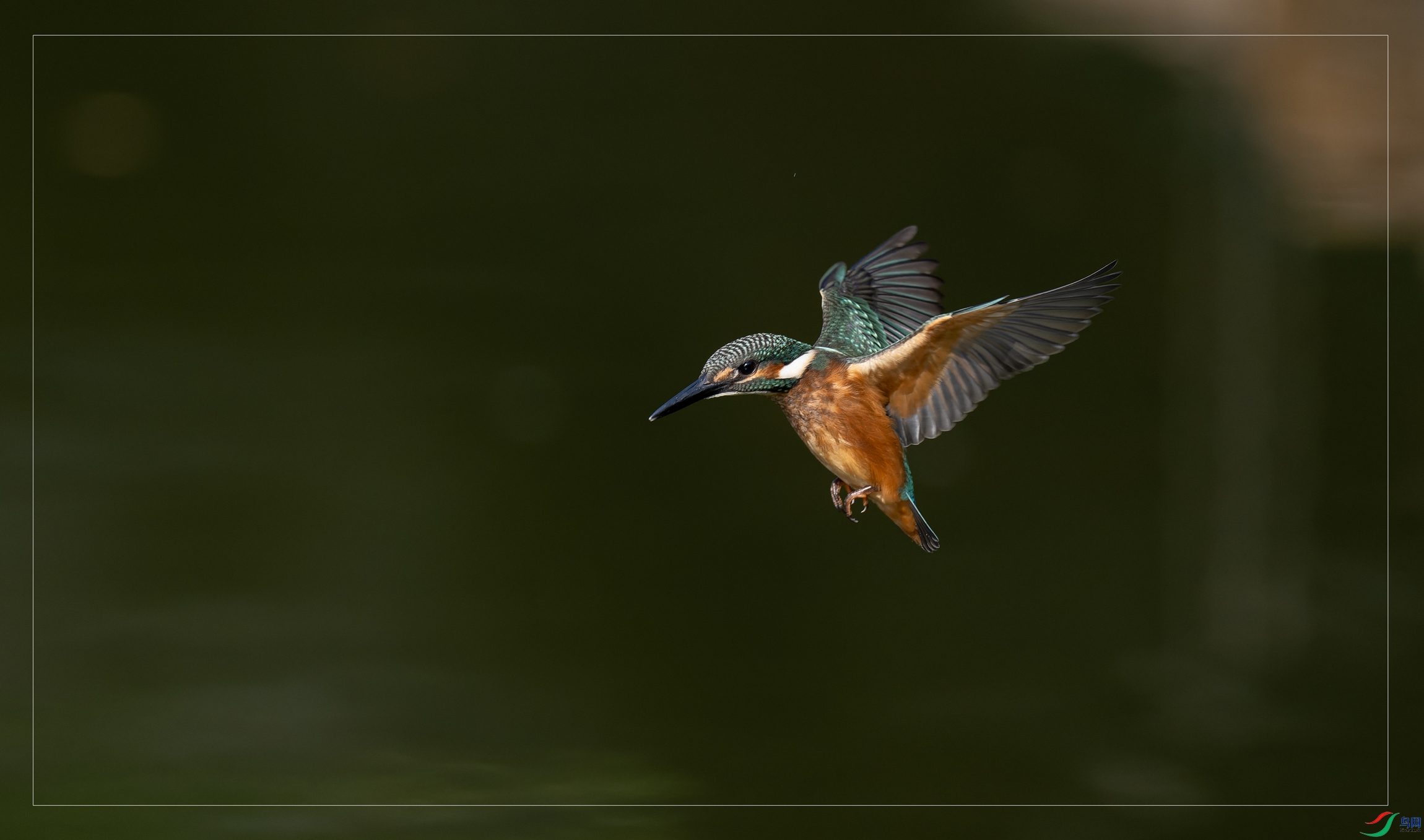 �糿��԰��