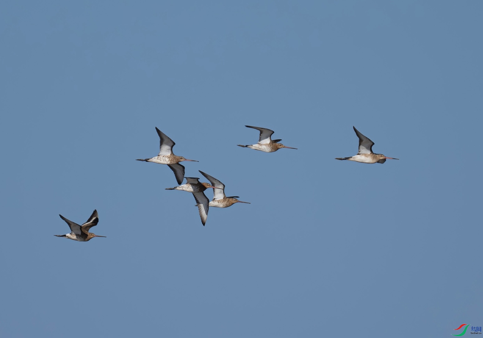 _DSC7806f.jpg