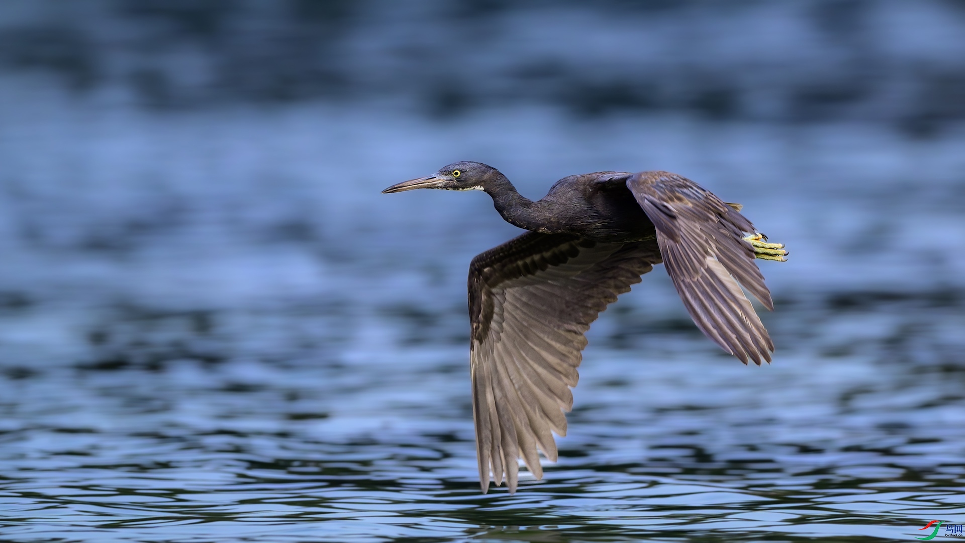 1_XXL4063-����ǿ-NR ���� 2.jpeg