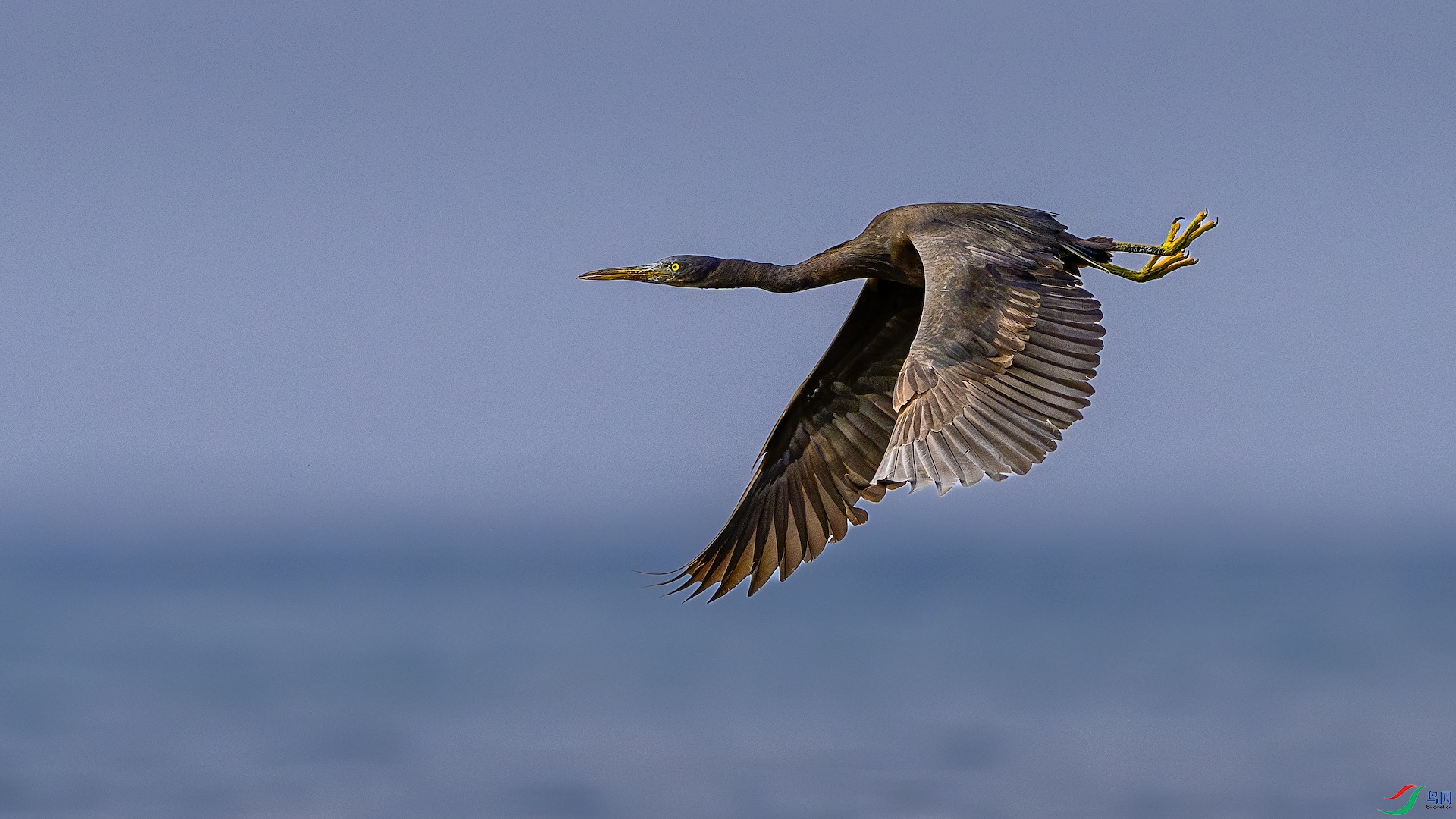 1_XXL9813-����ǿ-NR ����.jpeg